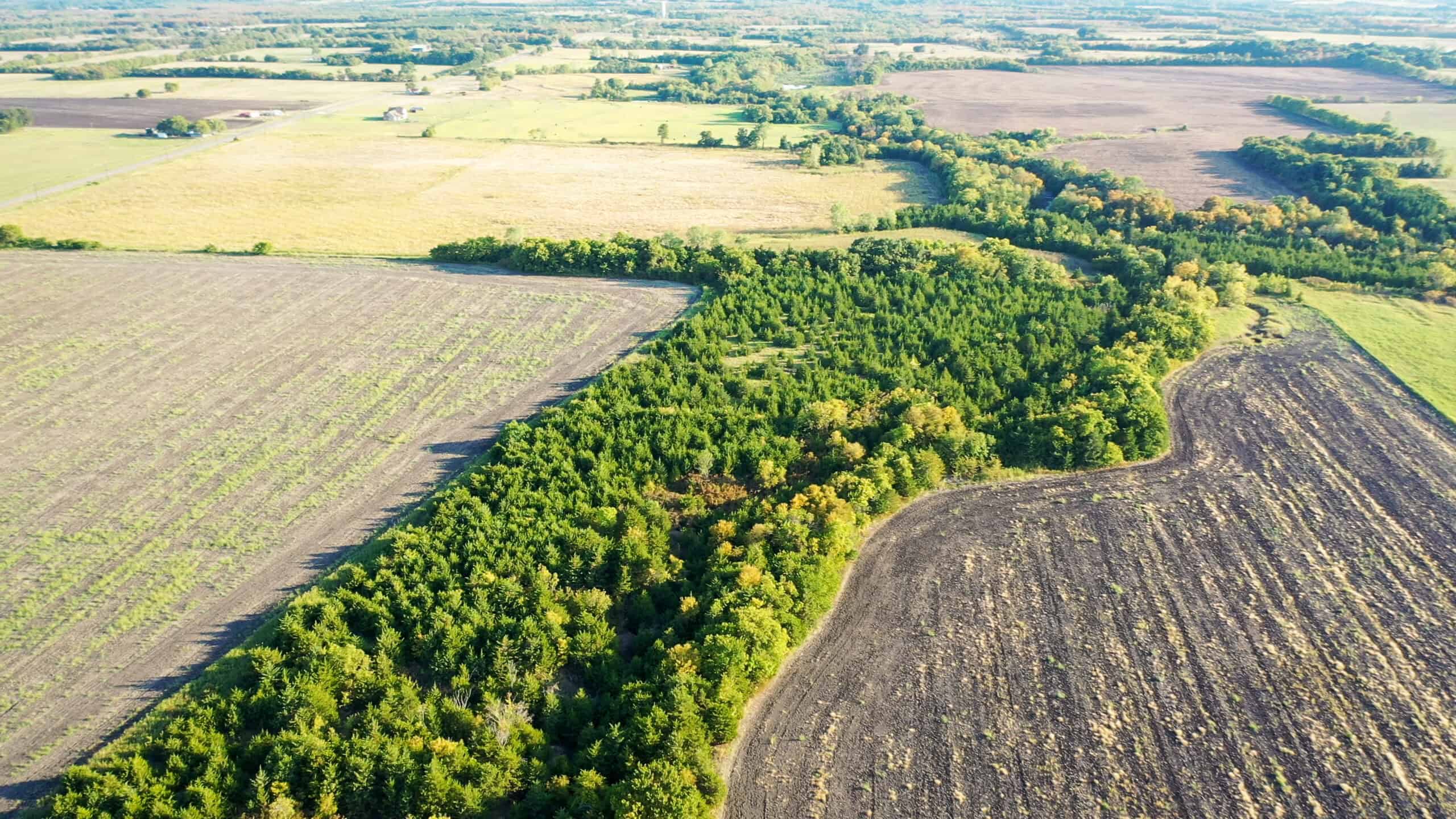 Pasture and Ranch Land For Sale in NE TX