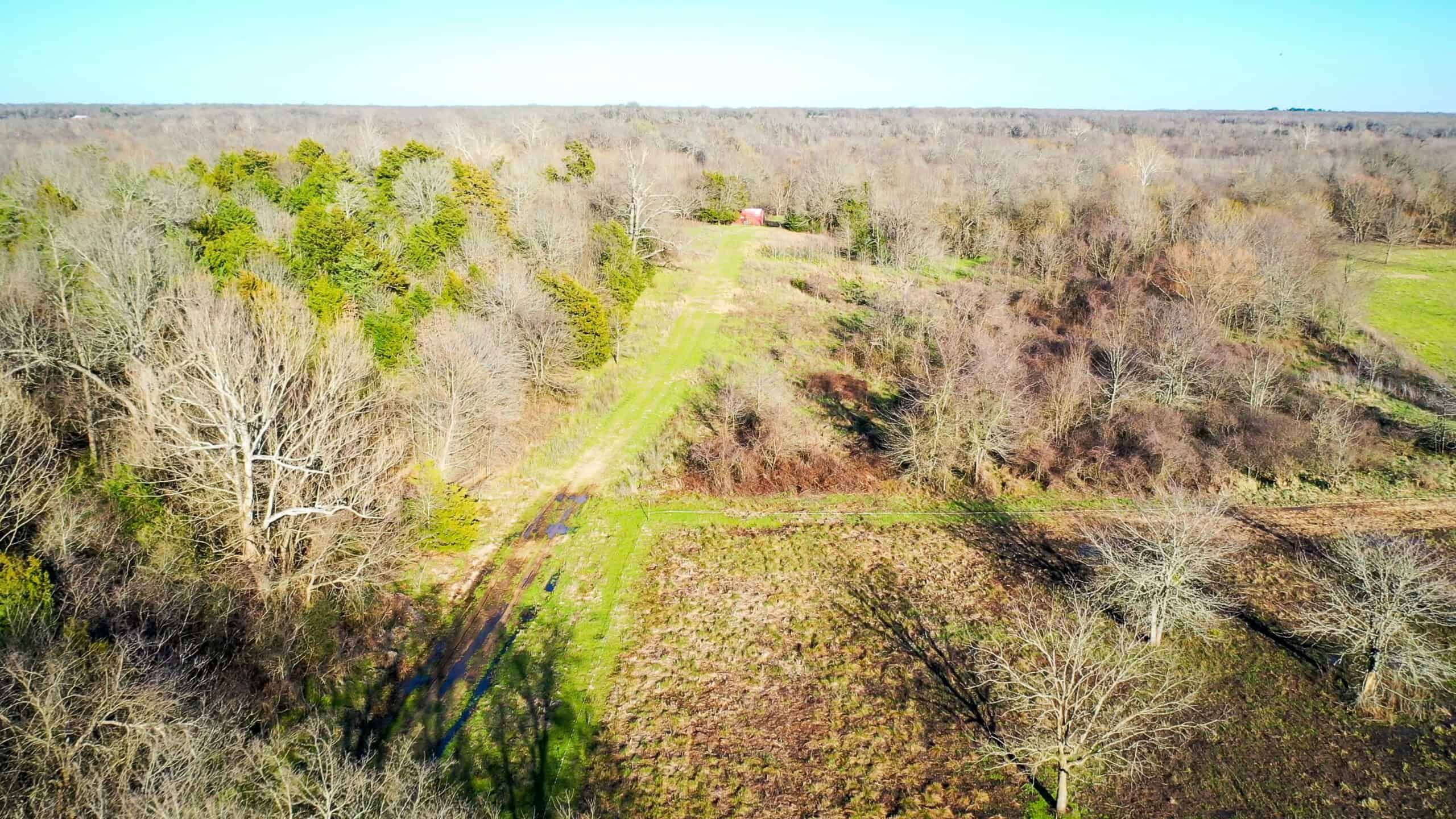 Prime Texas Hunting Land For Sale in Sumner TX