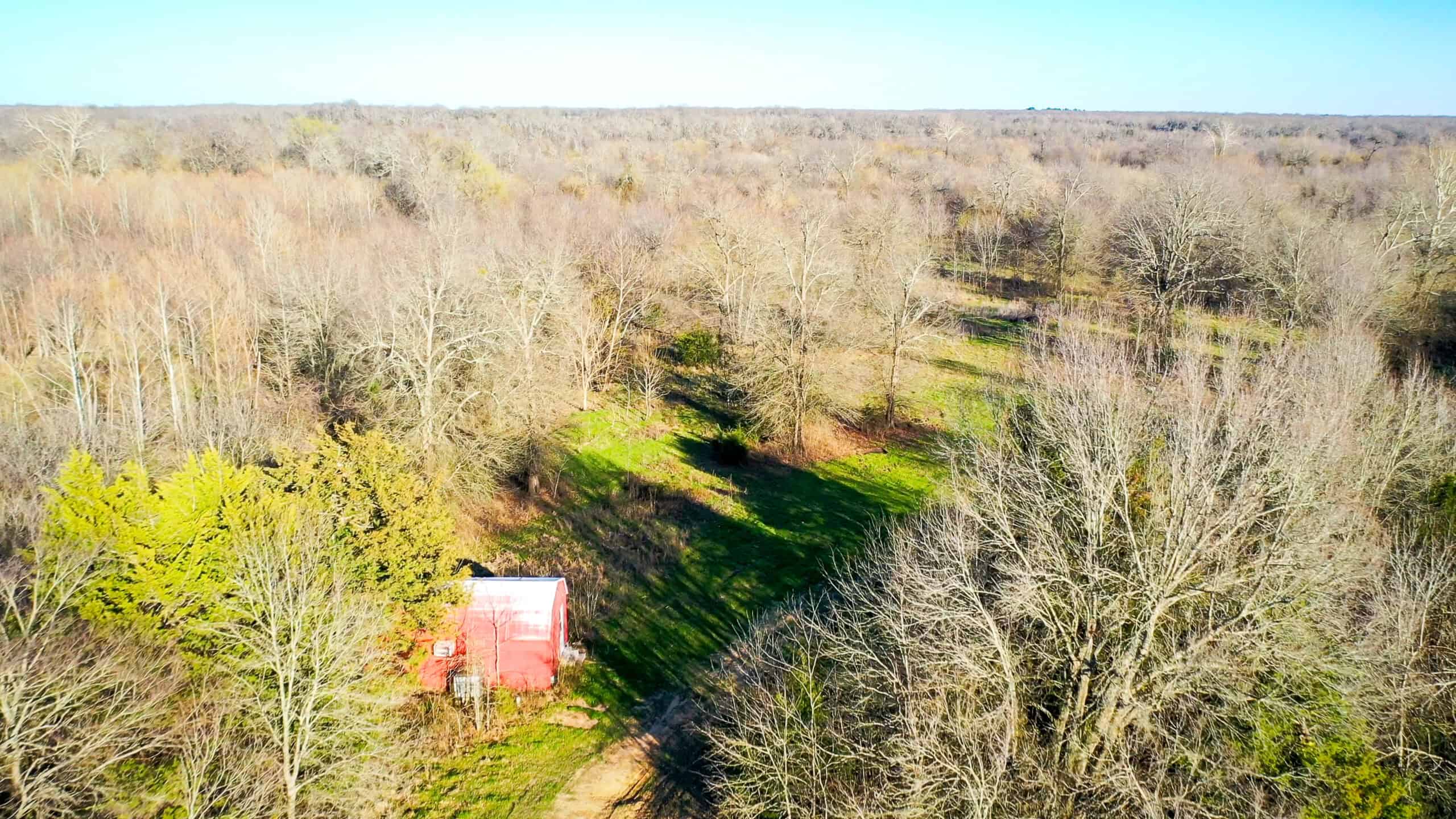 Prime Texas Hunting Land For Sale in Sumner TX