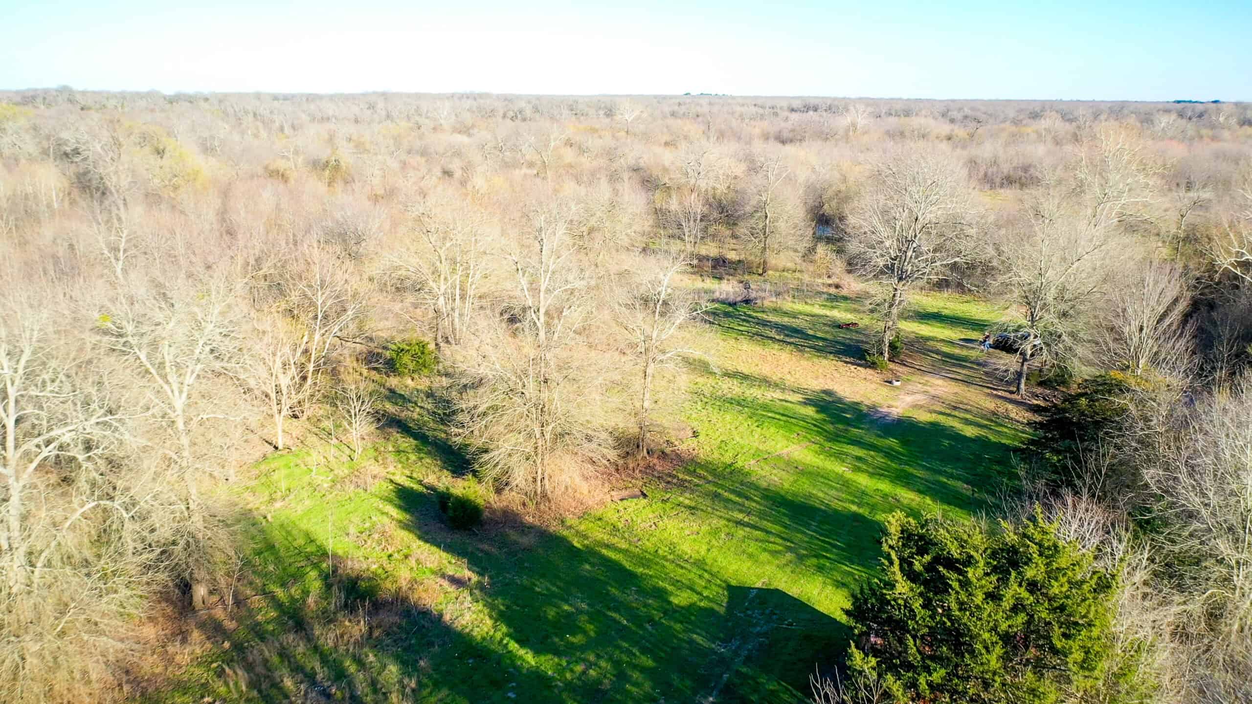 Prime Texas Hunting Land For Sale in Sumner TX