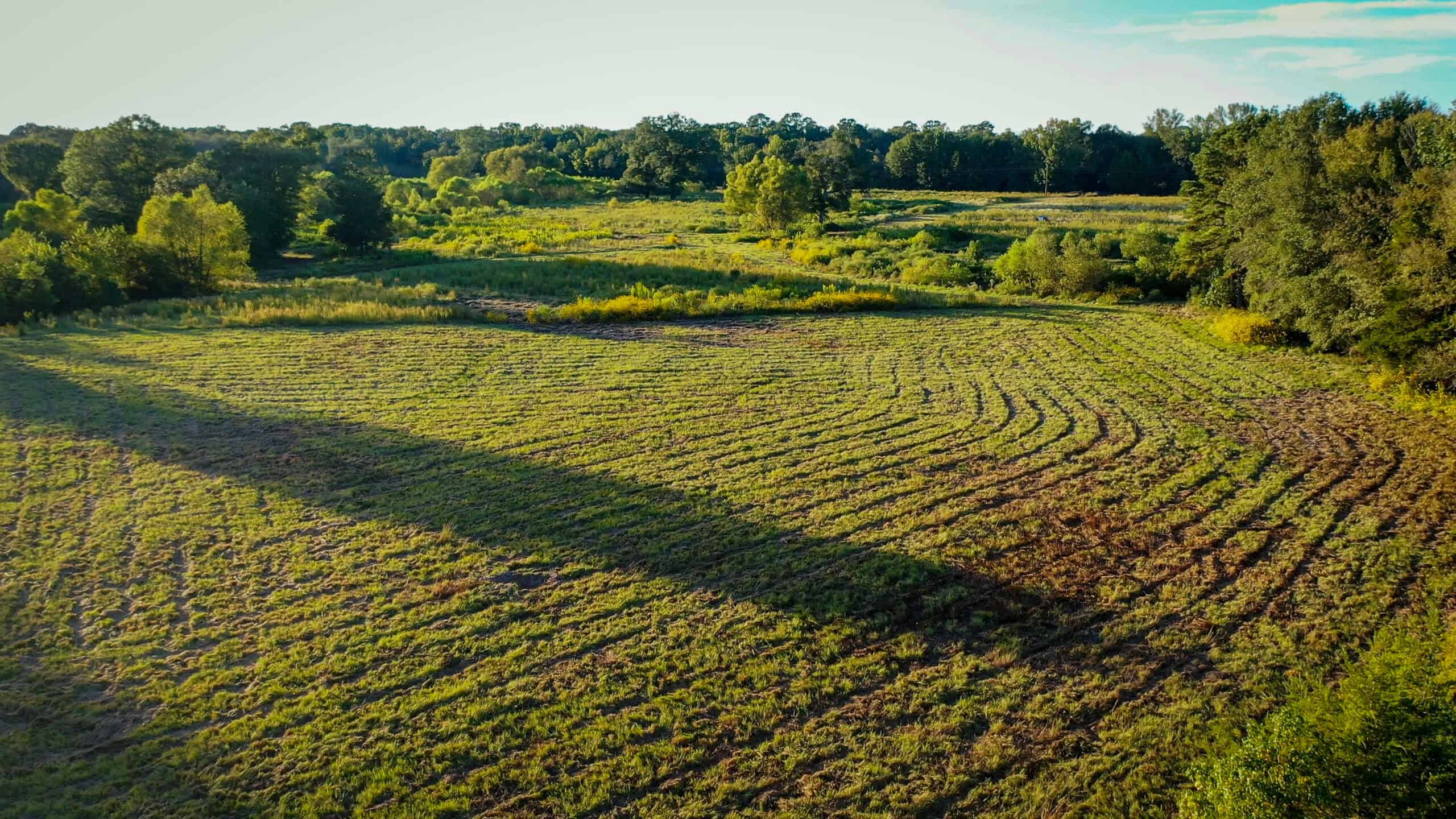 Recreational Hunting Land Winnsboro TX