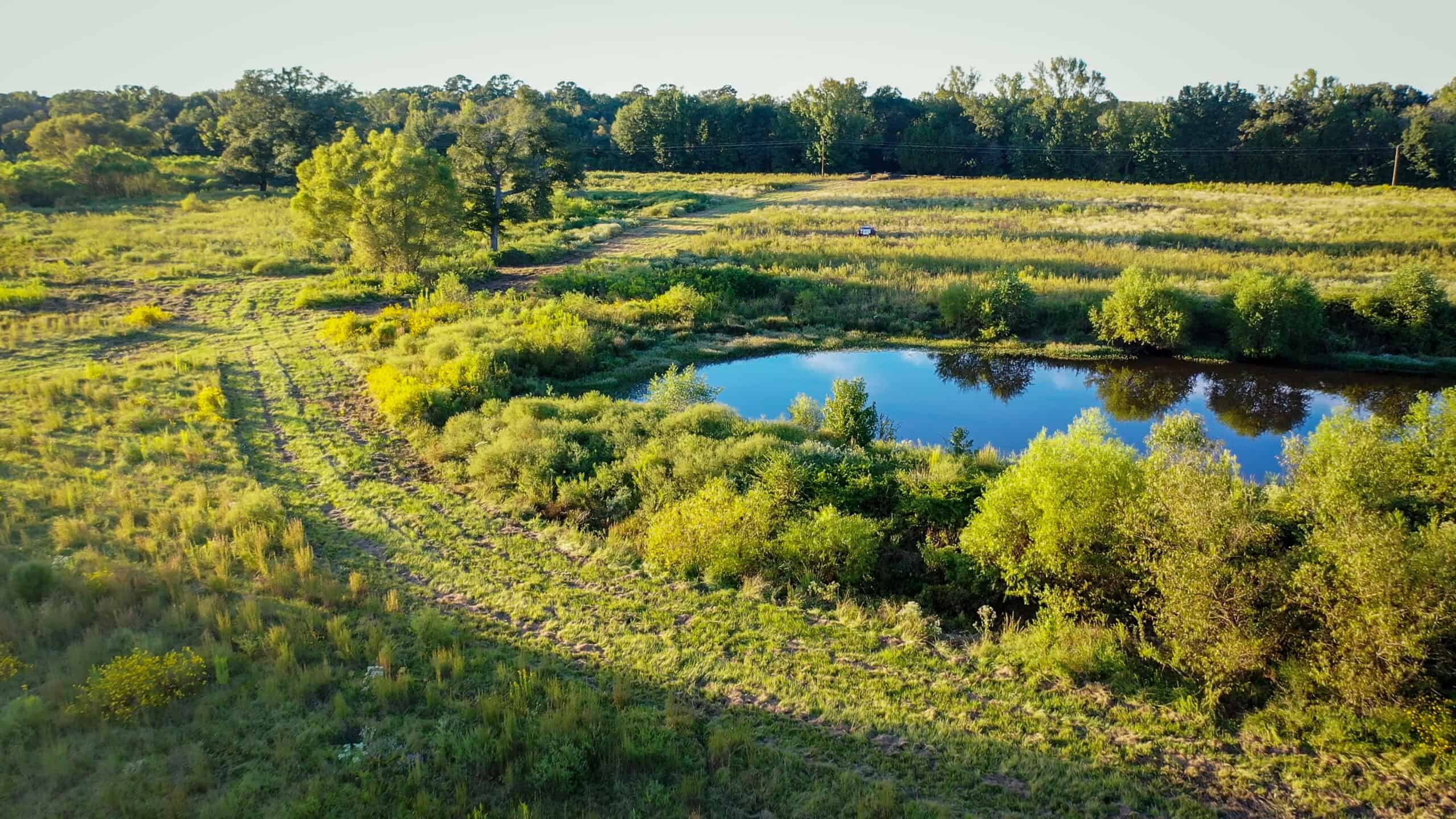 Recreational Hunting Land Winnsboro TX