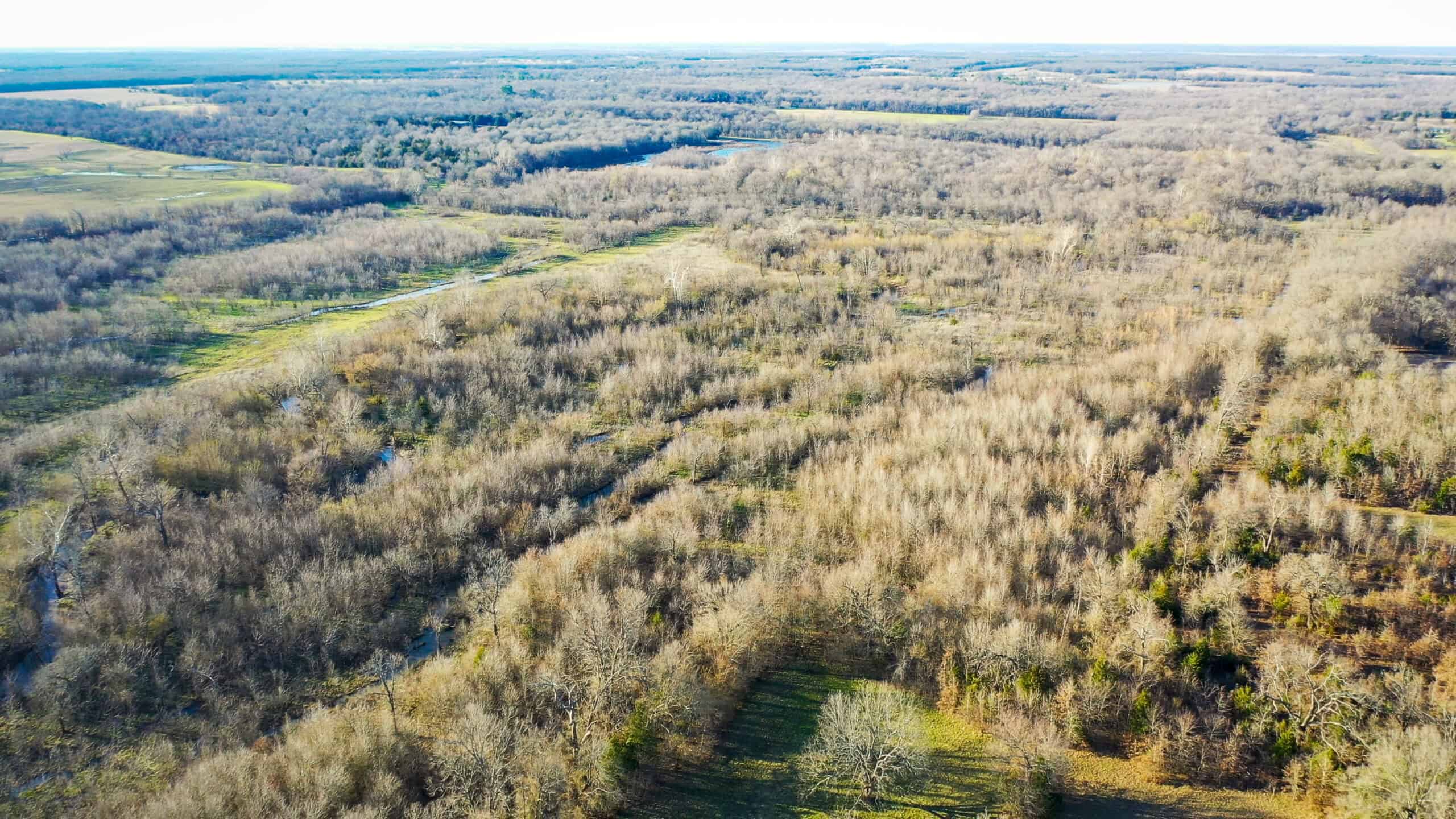 Prime Texas Hunting Land For Sale in Sumner TX