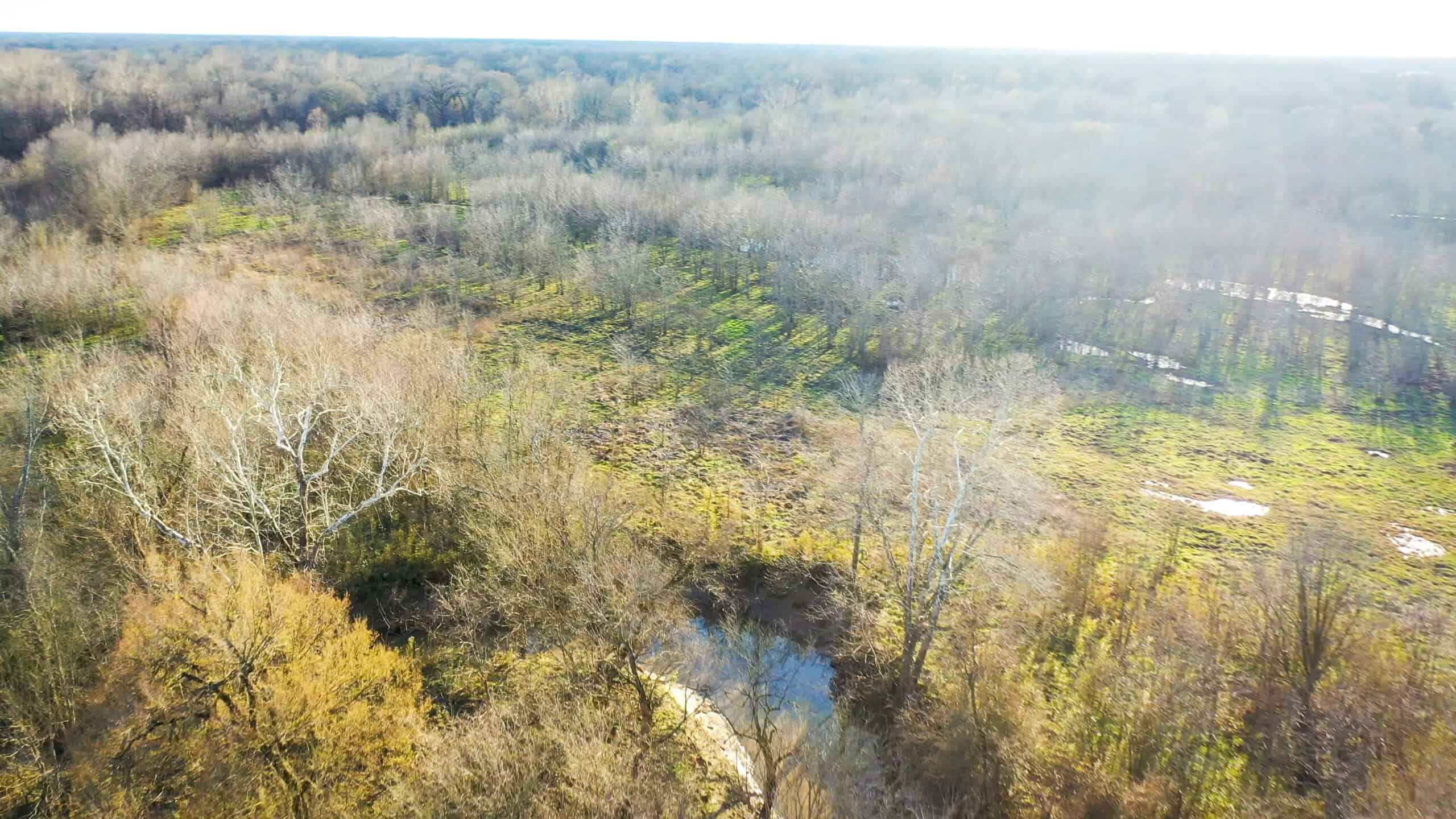 Prime Texas Hunting Land For Sale in Sumner TX