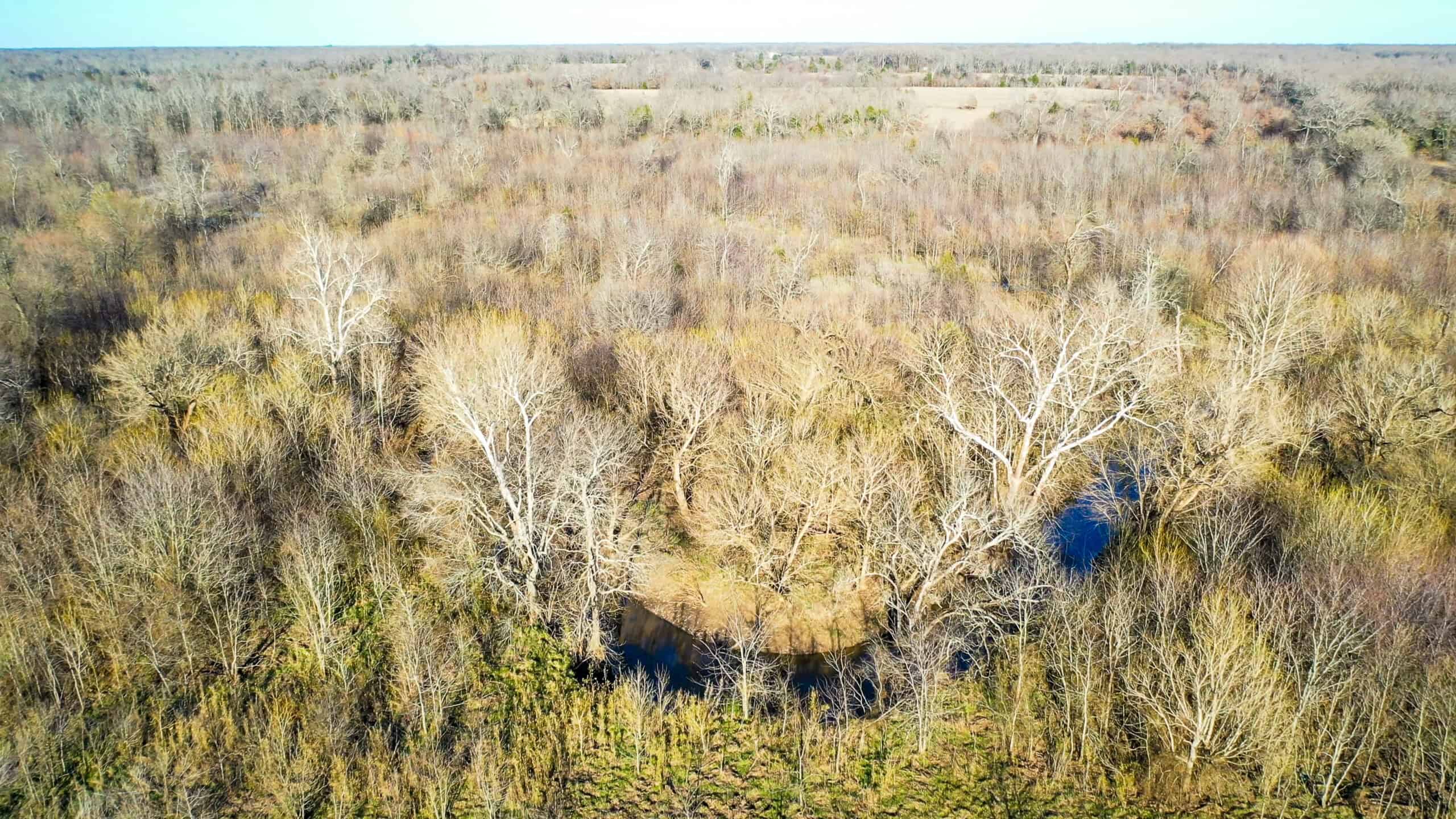 Prime Texas Hunting Land For Sale in Sumner TX