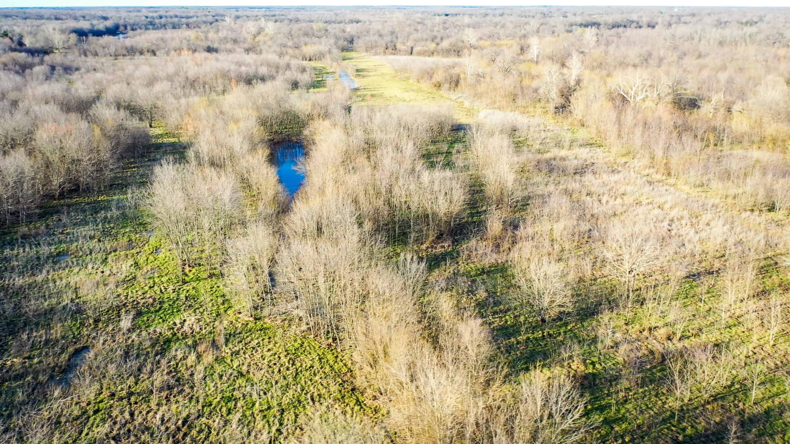 Prime Texas Hunting Land For Sale in Sumner TX