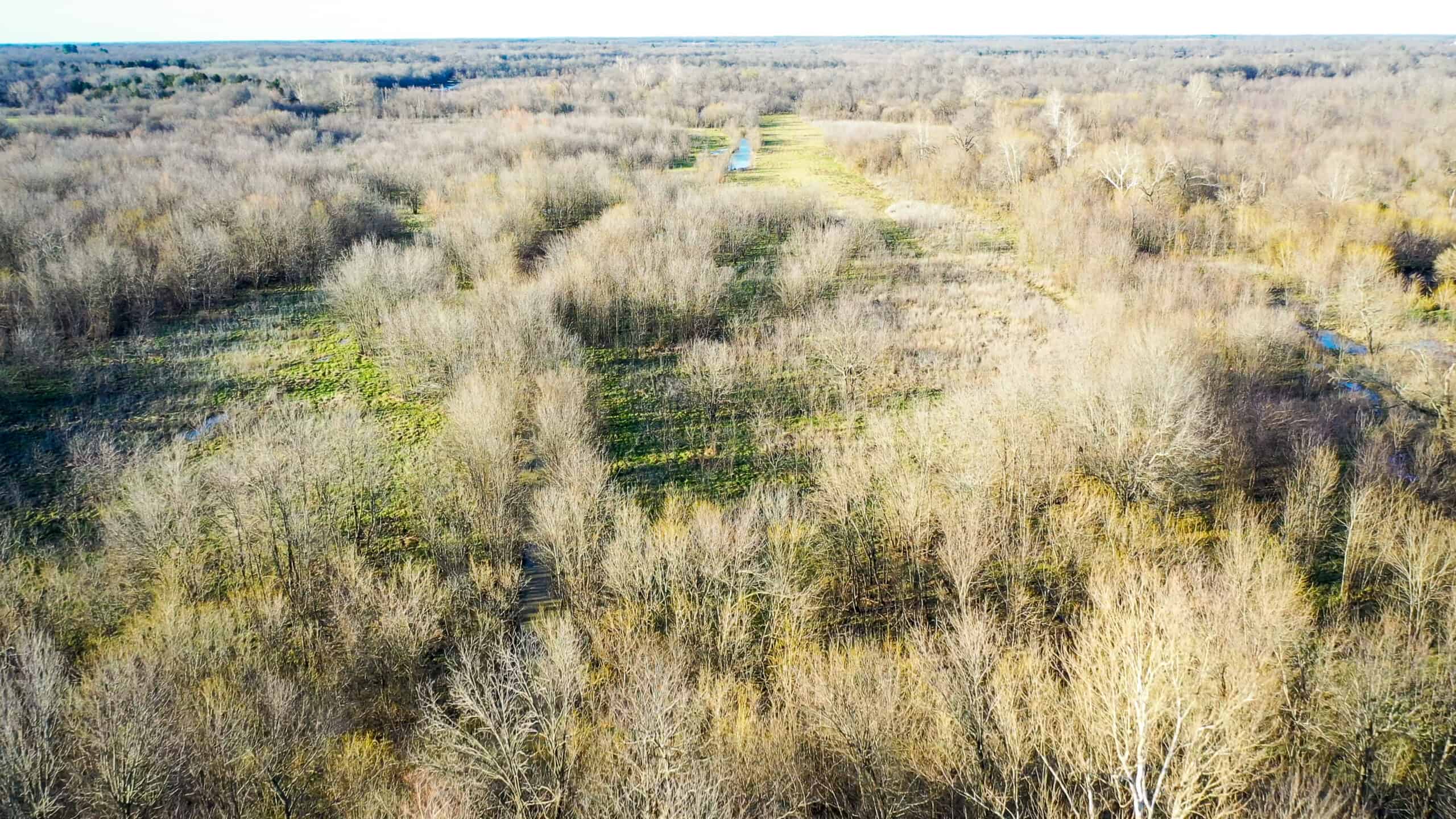 Prime Texas Hunting Land For Sale in Sumner TX