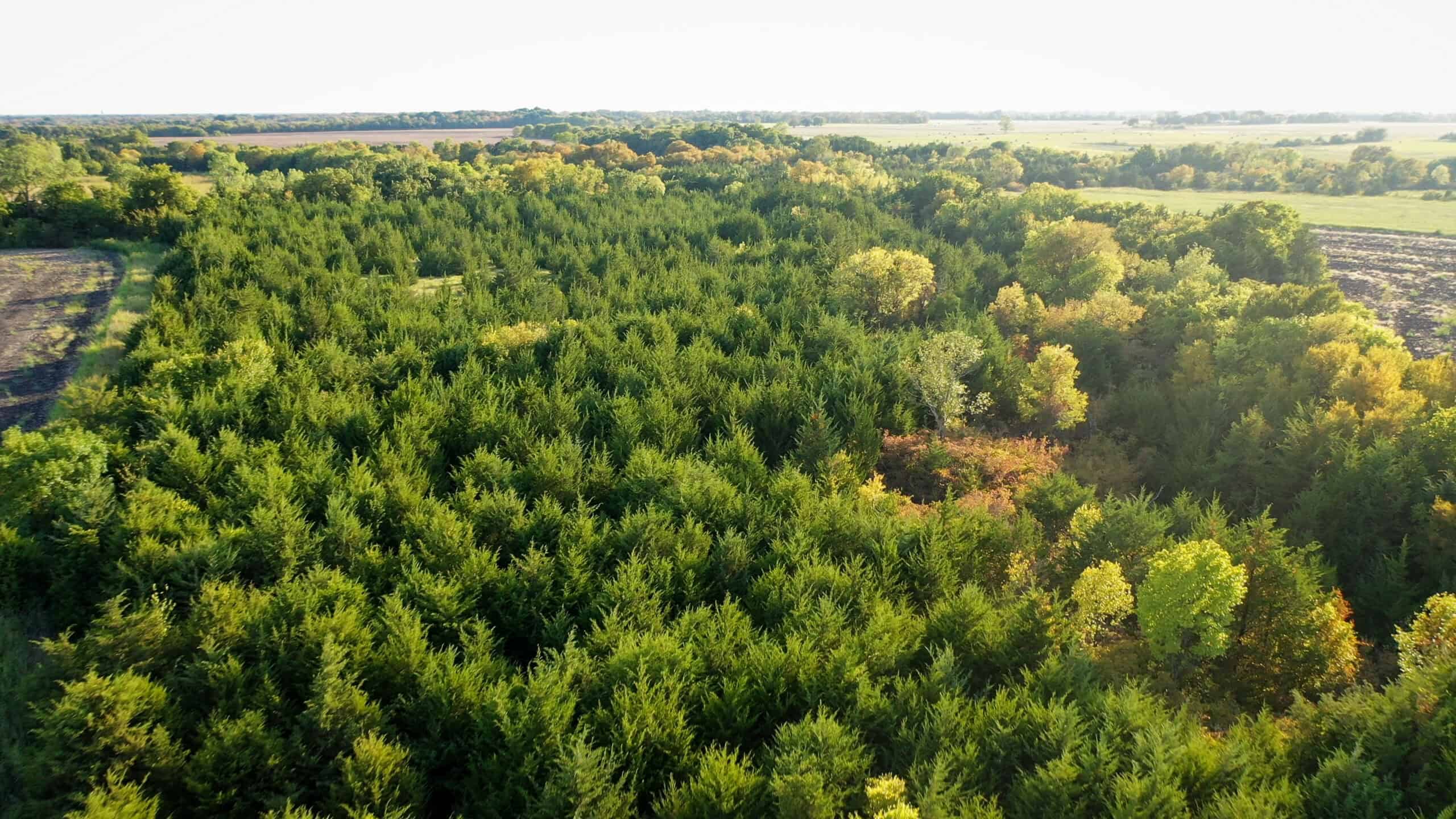 Pasture and Ranch Land For Sale in NE TX