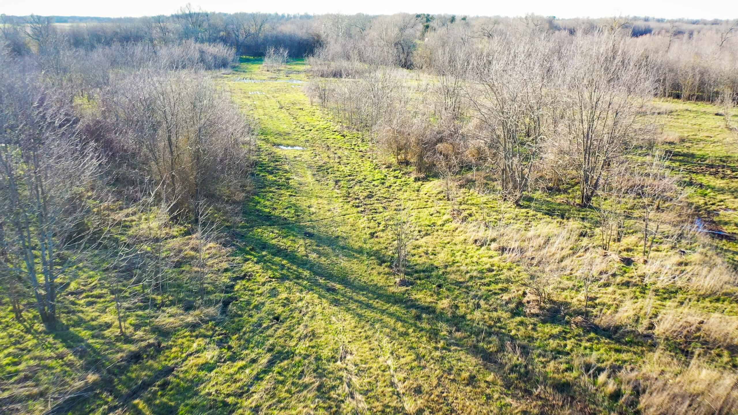Prime Texas Hunting Land For Sale in Sumner TX