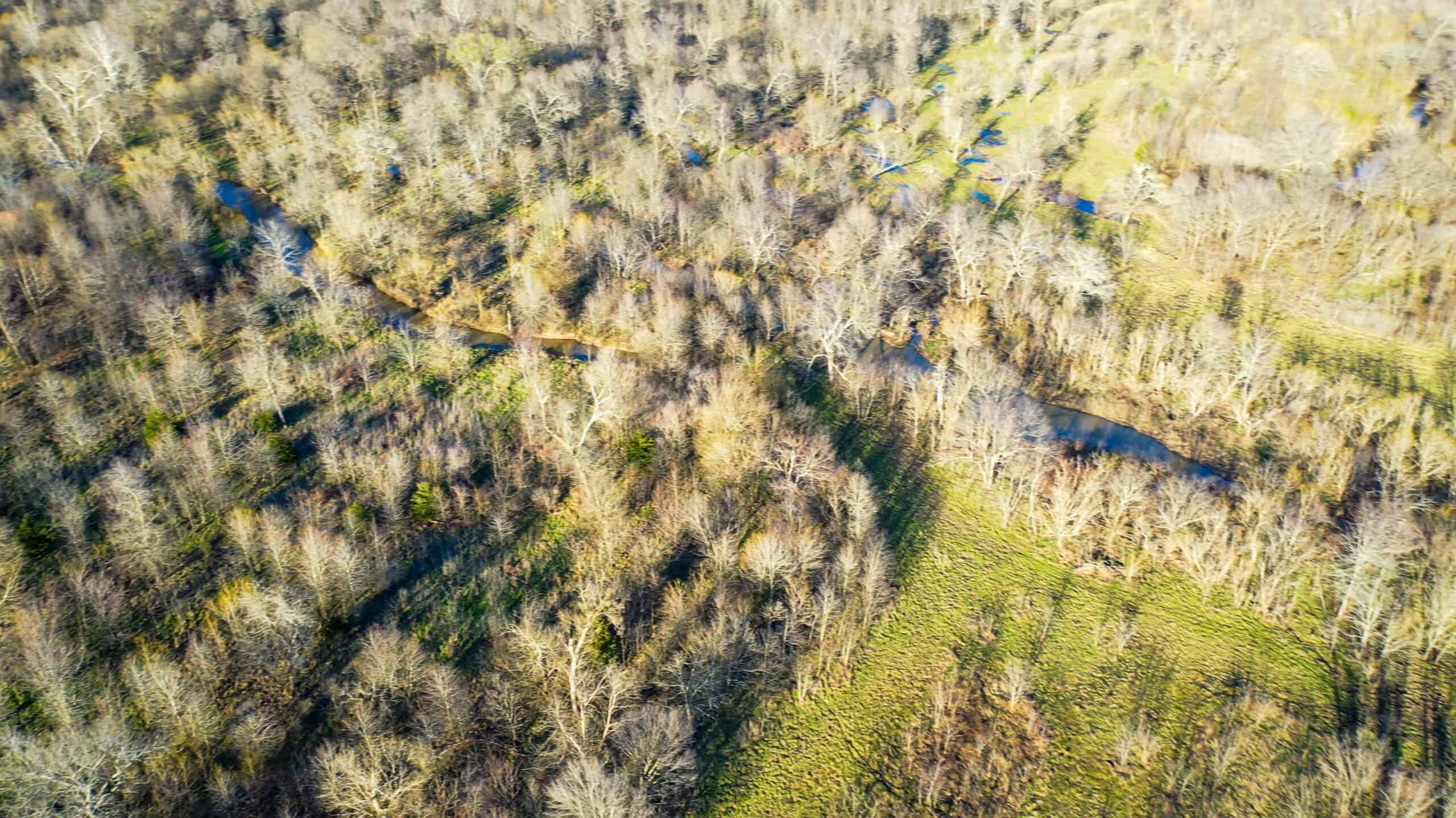 Prime Texas Hunting Land For Sale in Sumner TX