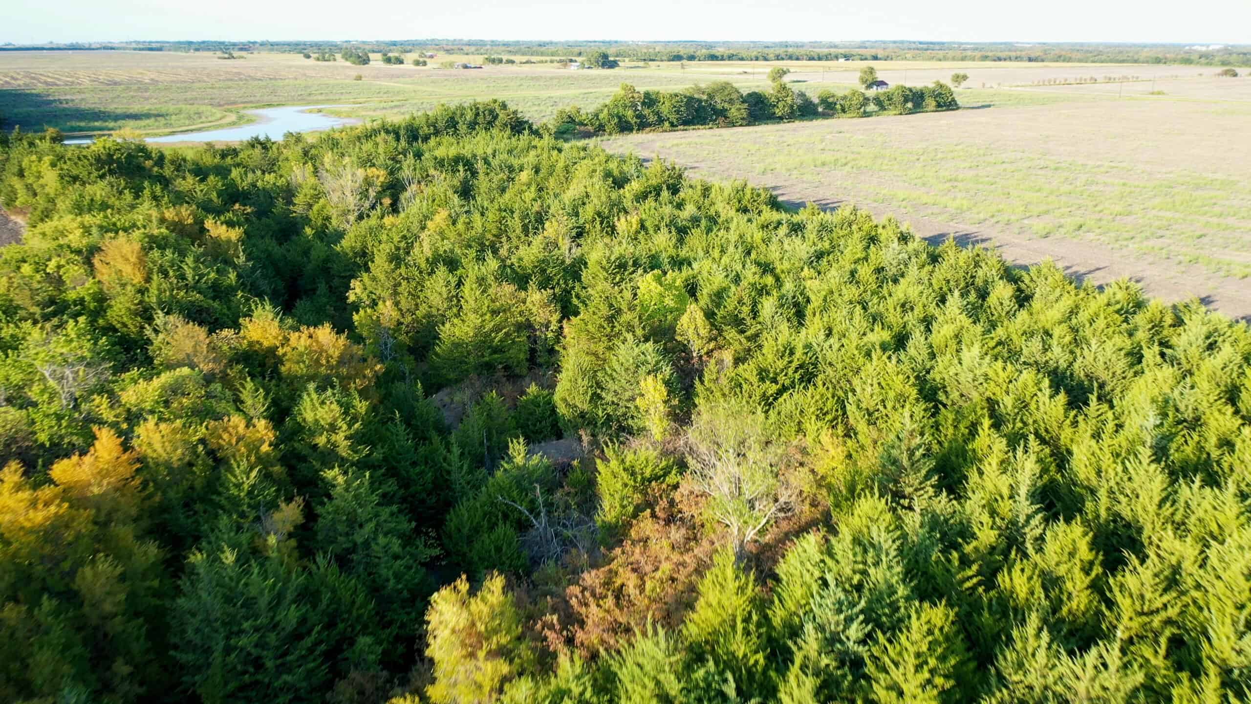 Pasture and Ranch Land For Sale in NE TX