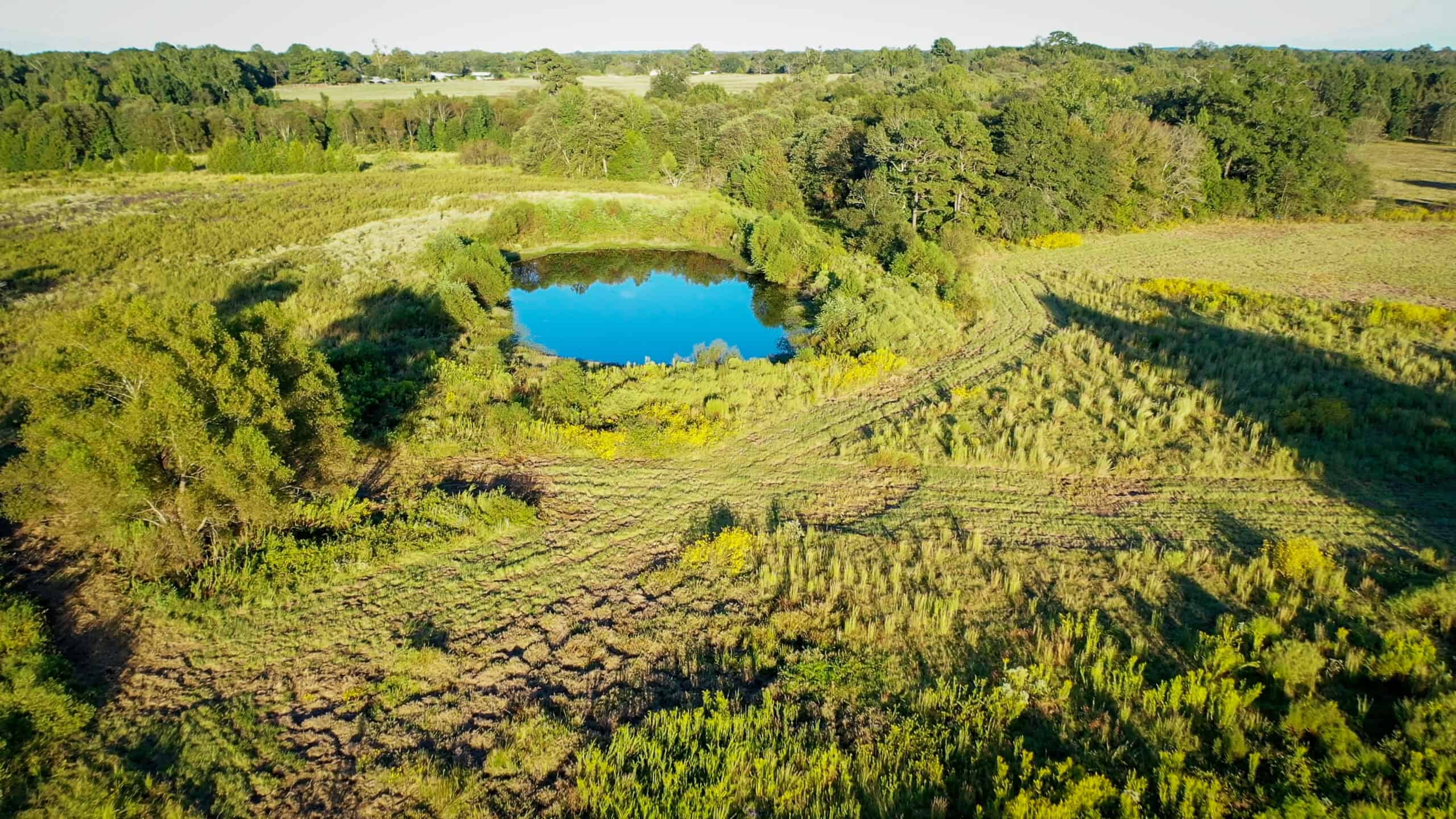 Recreational Hunting Land Winnsboro TX
