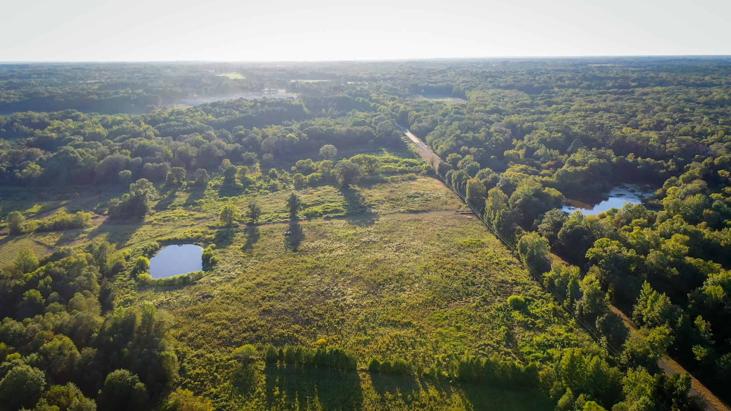 Recreational Hunting Land Winnsboro TX
