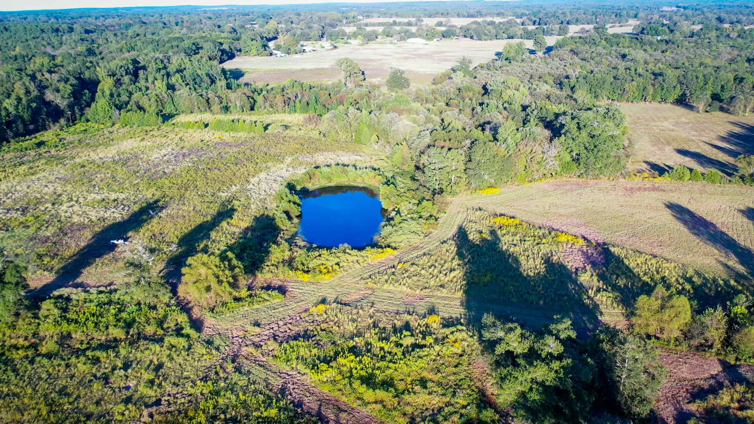 Recreational Hunting Land Winnsboro TX