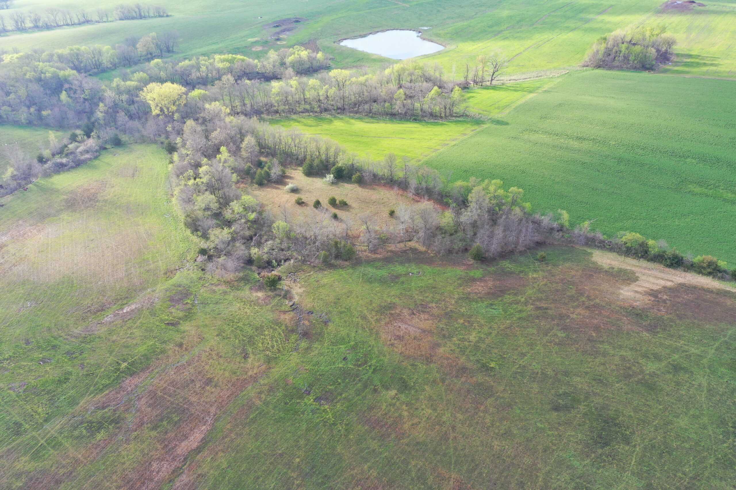 CRP & Hunting Farm For Sale – Grundy County, MO