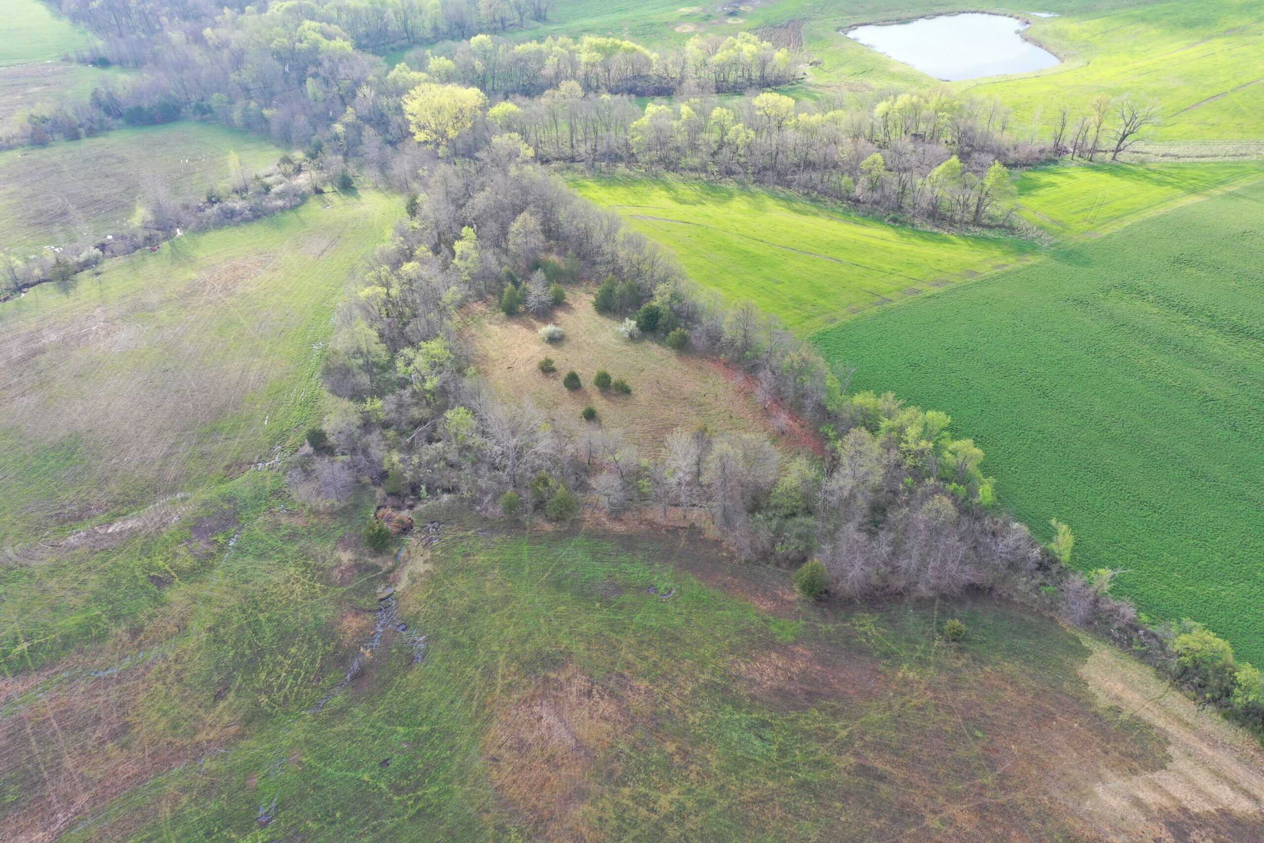 CRP & Hunting Farm For Sale – Grundy County, MO