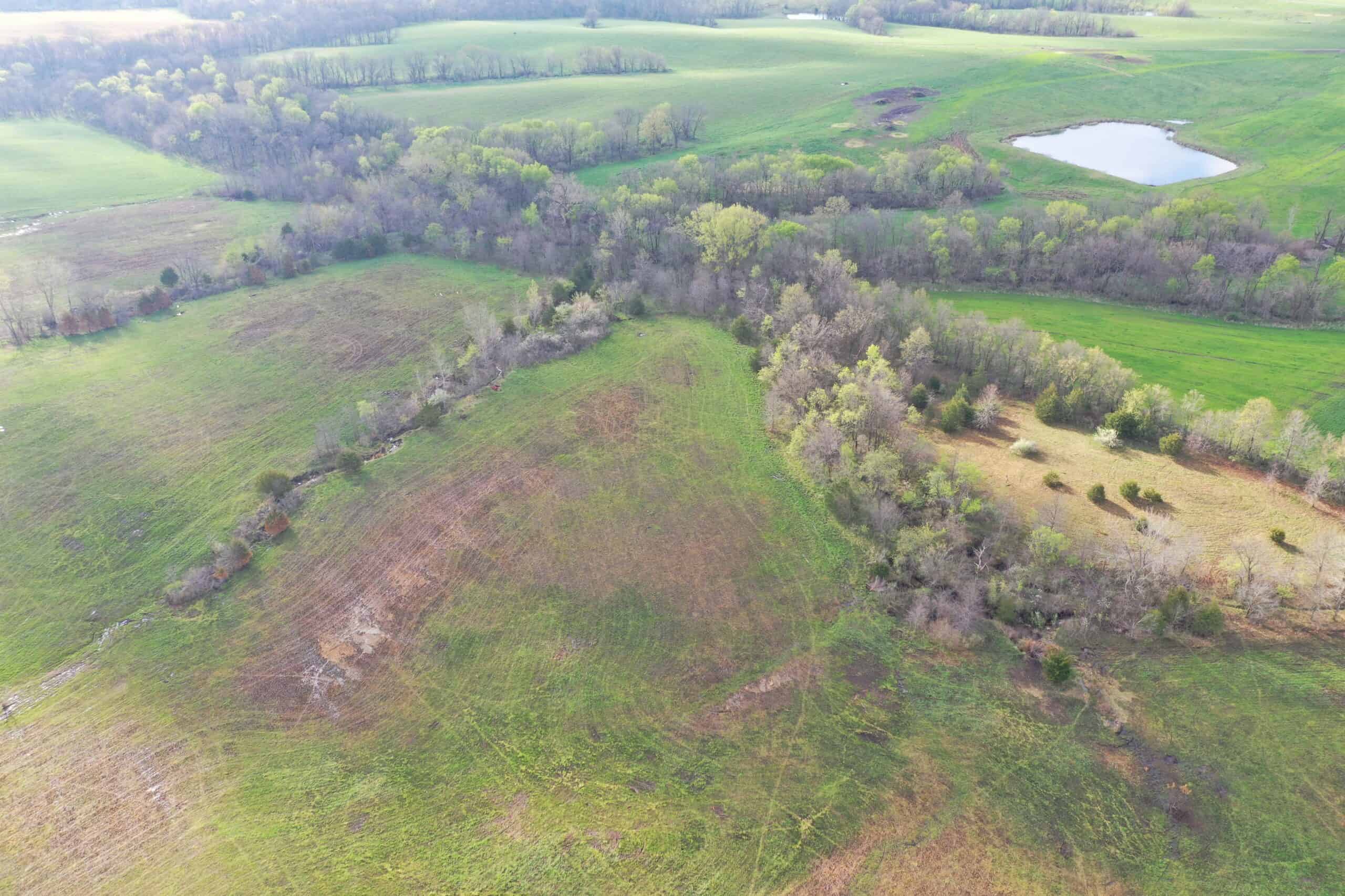 CRP & Hunting Farm For Sale – Grundy County, MO