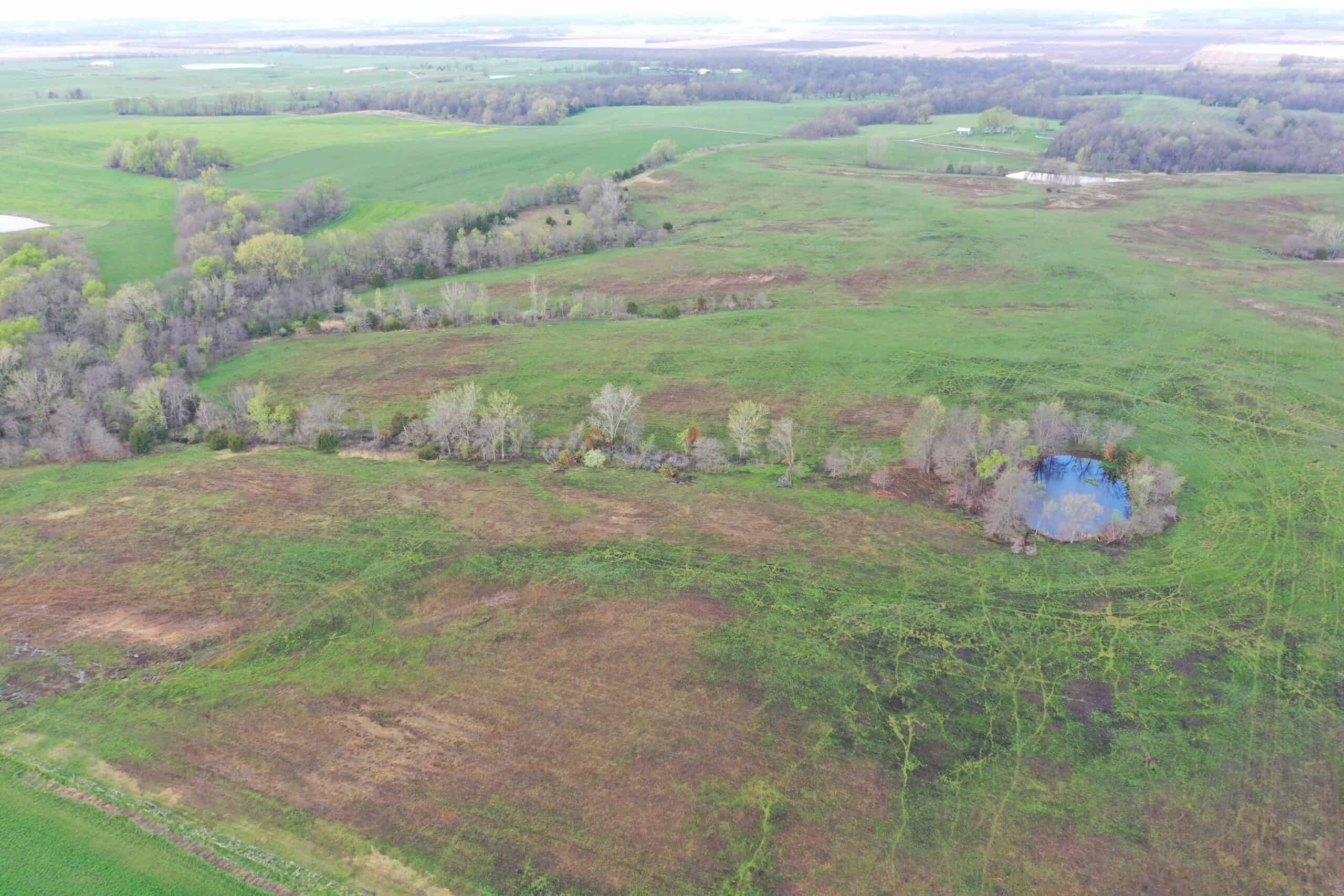 CRP & Hunting Farm For Sale – Grundy County, MO