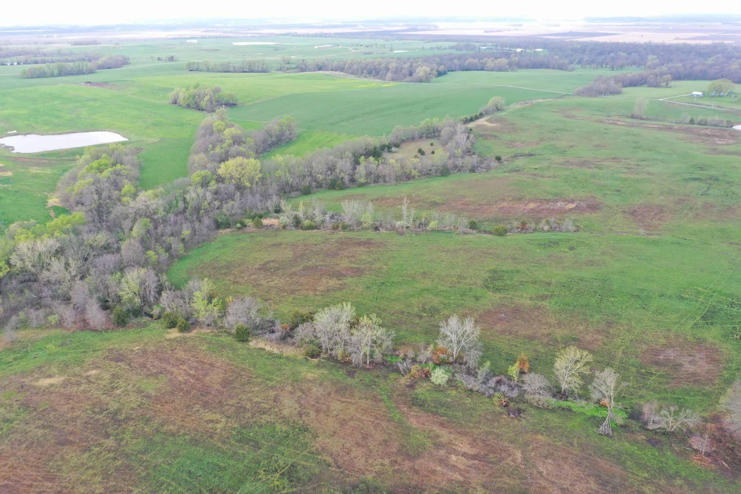 CRP & Hunting Farm For Sale – Grundy County, MO