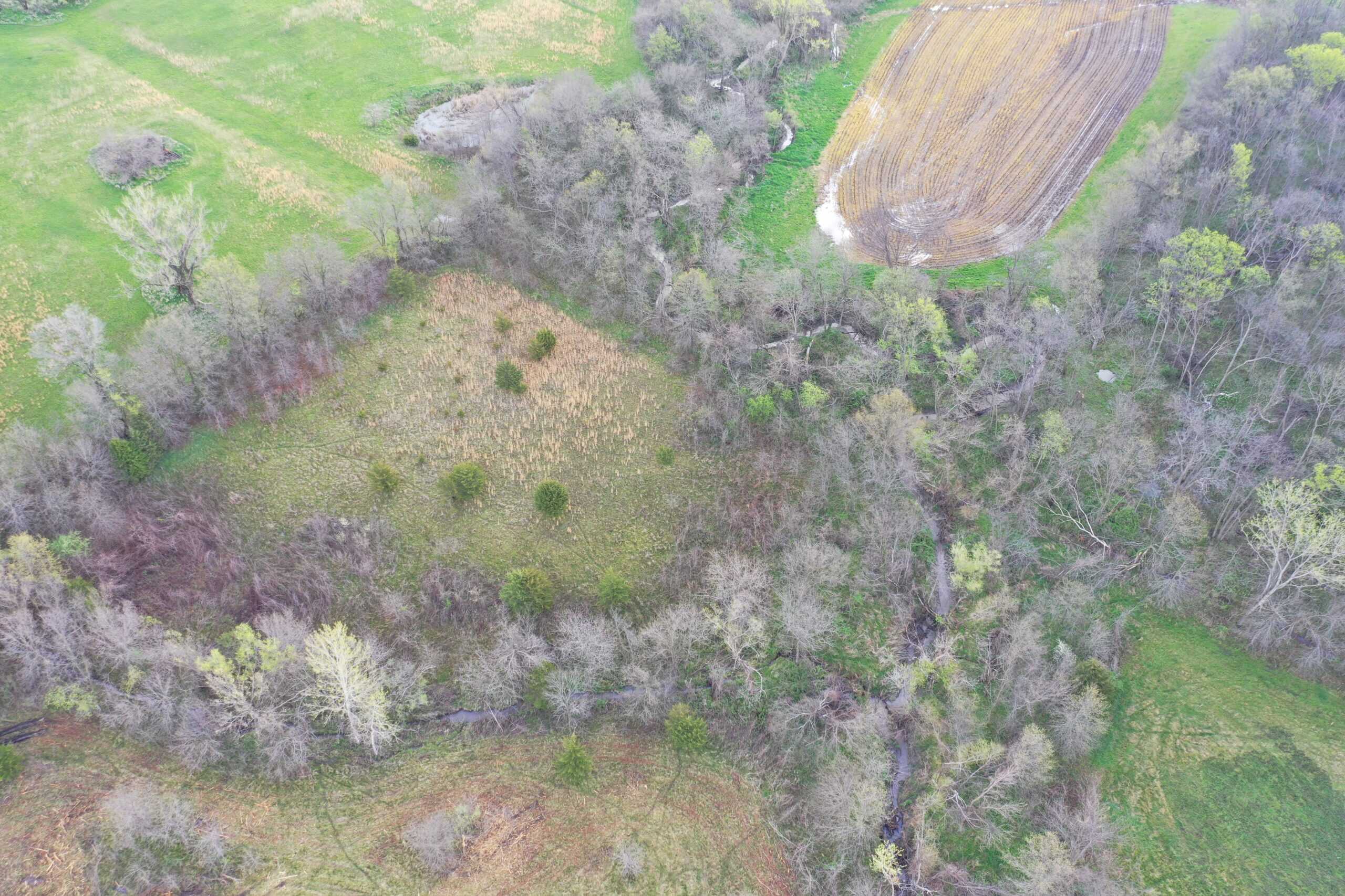 CRP Farm With Prime Hunting – Grundy/Mercer County Line