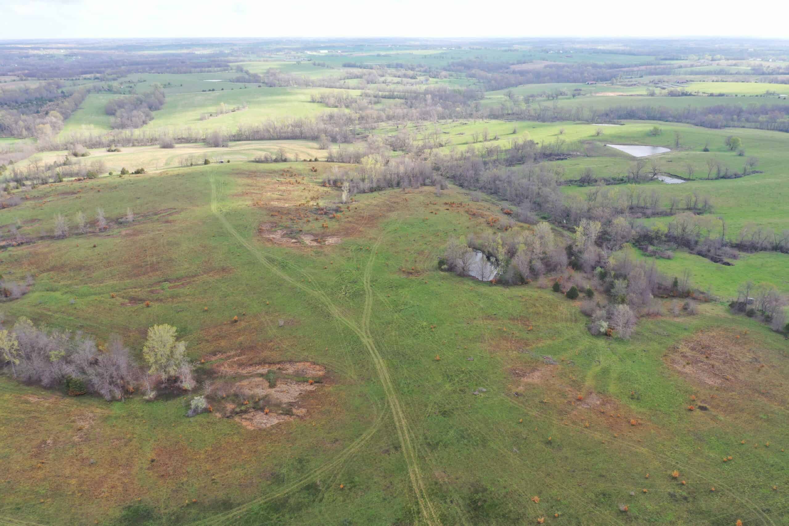 112-Acre CRP & Hunting Farm – Mercer & Grundy County, MO