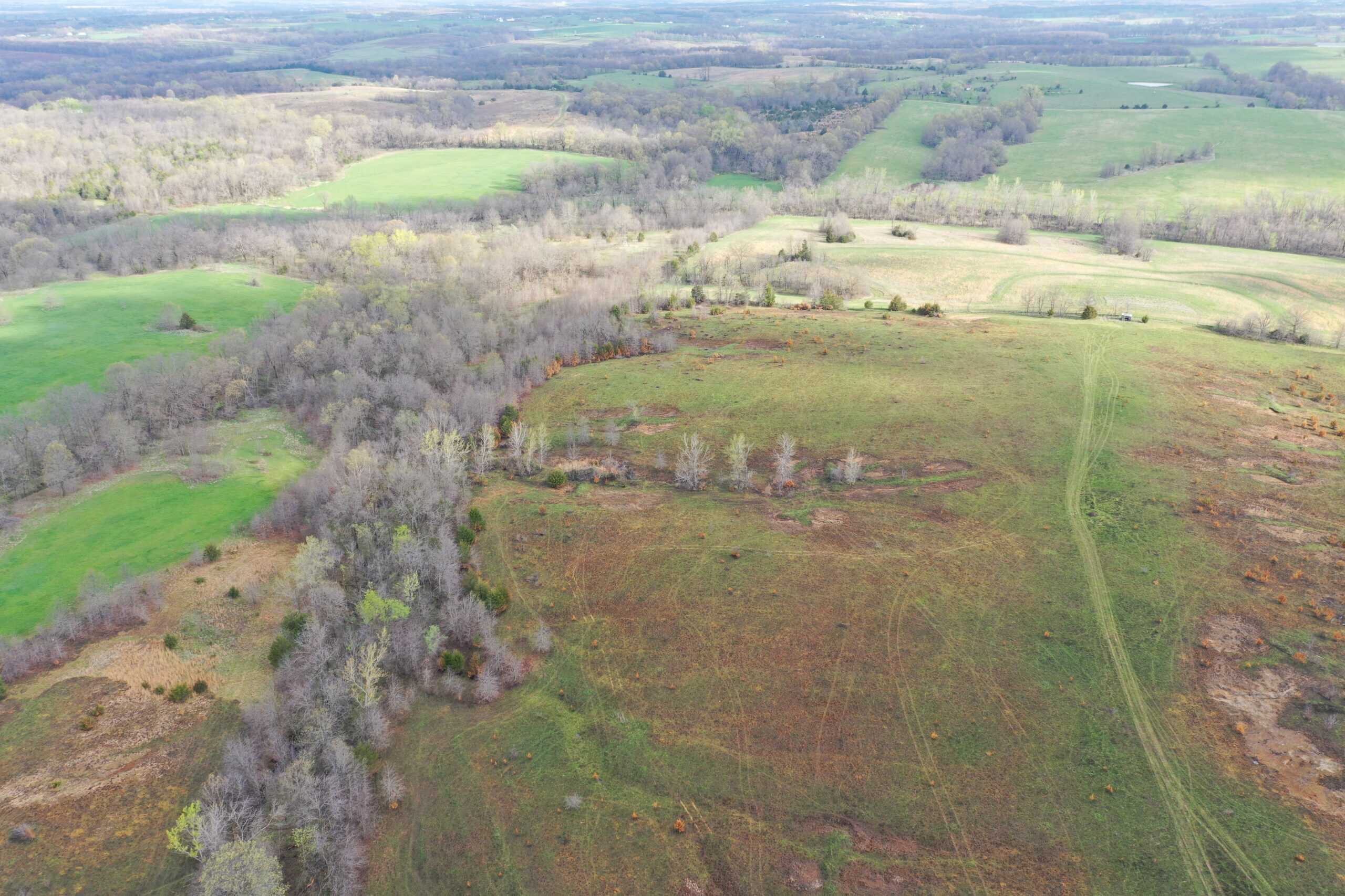 112-Acre CRP & Hunting Farm – Mercer & Grundy County, MO