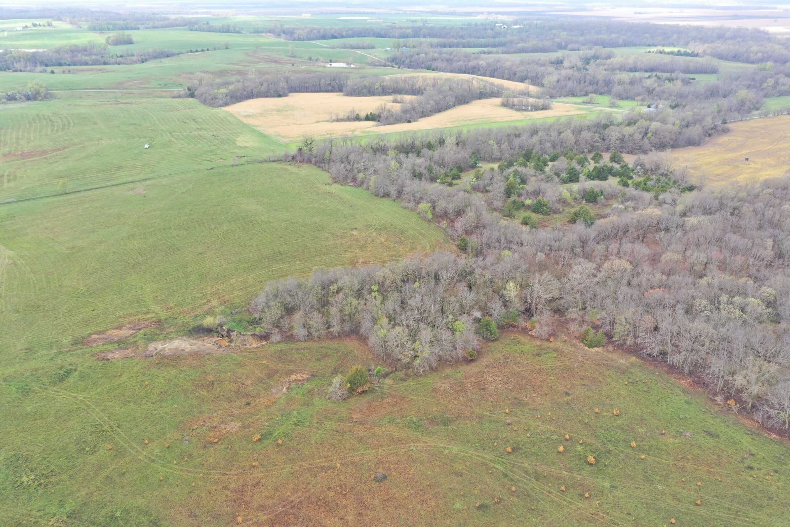 112-Acre CRP & Hunting Farm – Mercer & Grundy County, MO