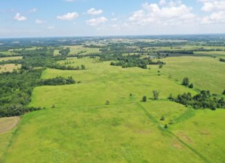 112-Acre CRP & Hunting Farm – Mercer & Grundy County, MO