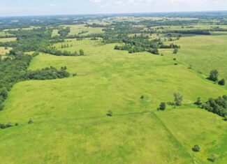 112-Acre CRP & Hunting Farm – Mercer & Grundy County, MO