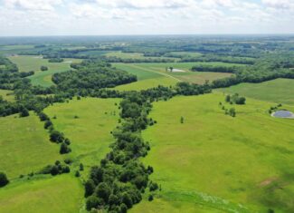 CRP Farm With Prime Hunting – Grundy/Mercer County Line