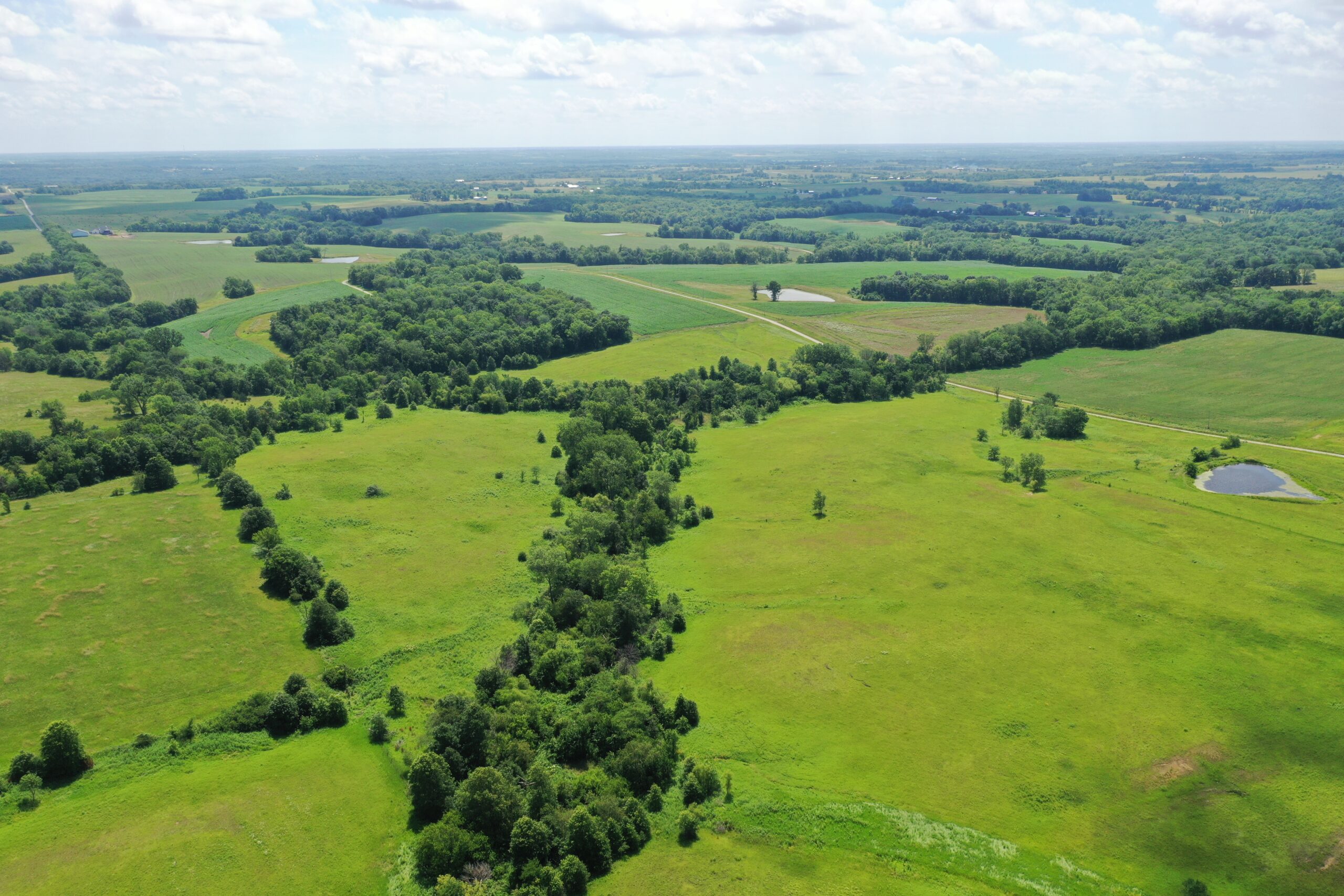 CRP Farm With Prime Hunting – Grundy/Mercer County Line