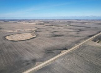 163.8 Deeded Acres With Highly Productive Farm Land (CPI: 91.1) | Farm, Home & Hunting Land