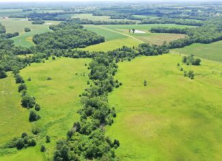 CRP Farm With Prime Hunting – Grundy/Mercer County Line