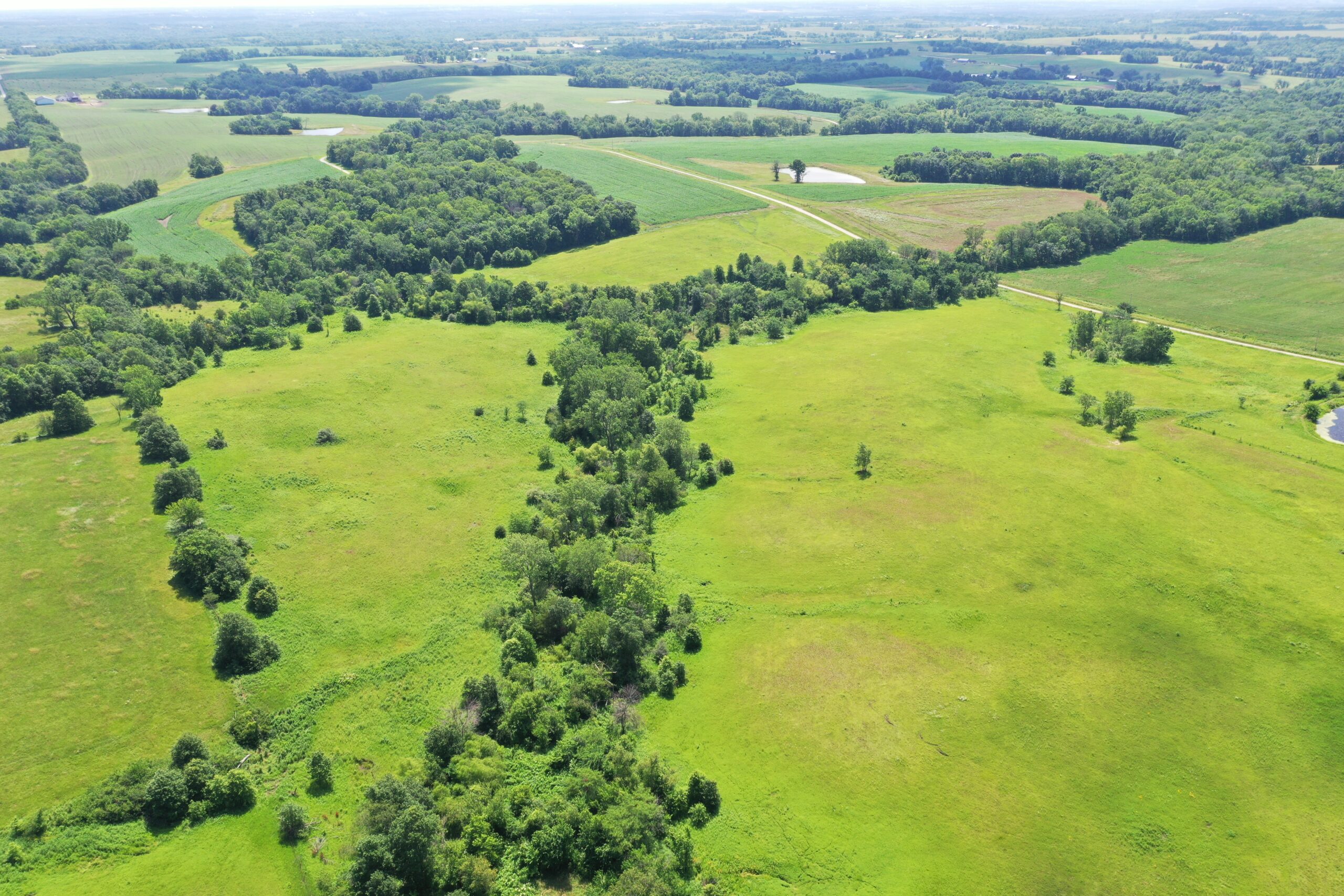 CRP Farm With Prime Hunting – Grundy/Mercer County Line