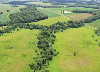 CRP Farm With Prime Hunting – Grundy/Mercer County Line