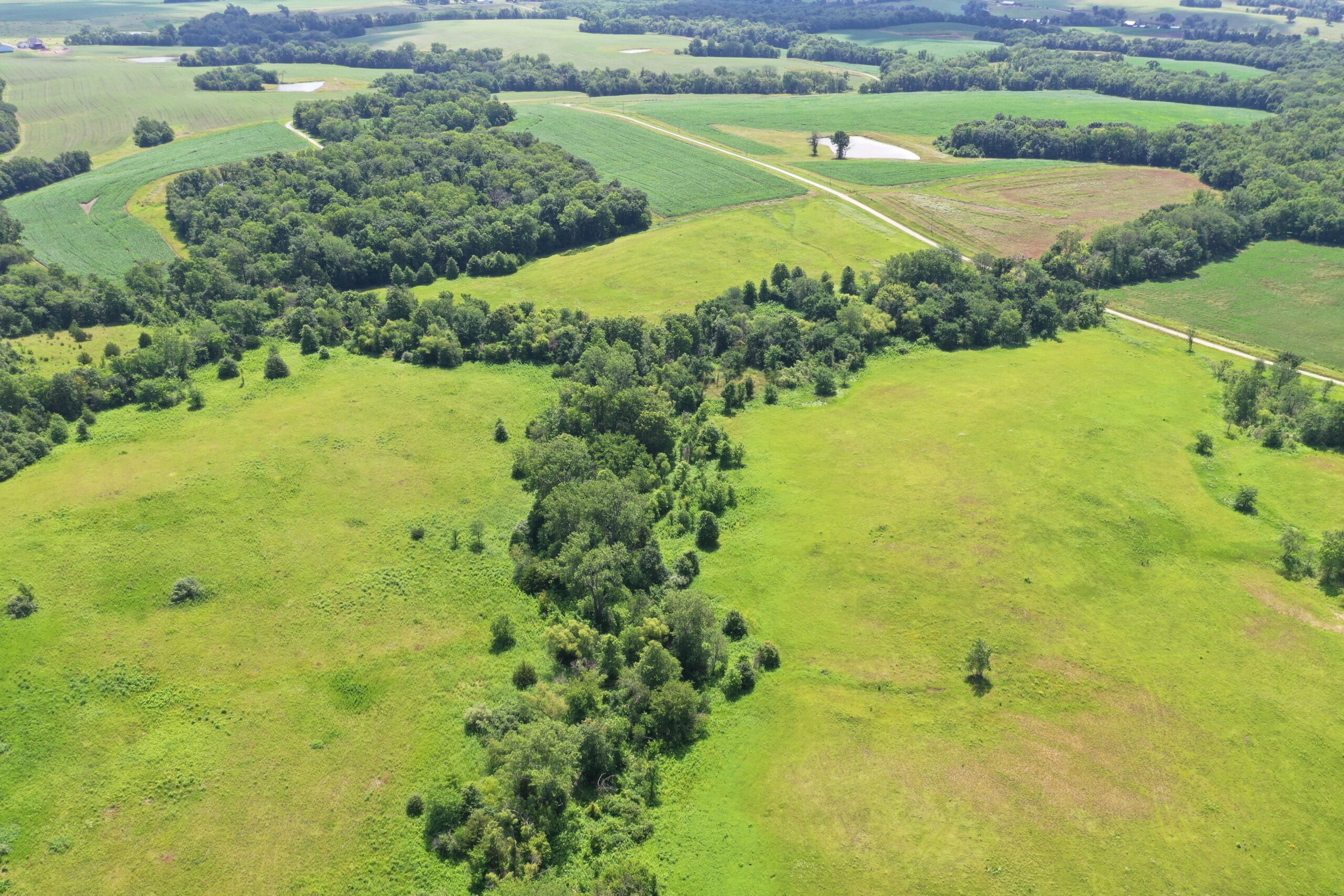 CRP Farm With Prime Hunting – Grundy/Mercer County Line