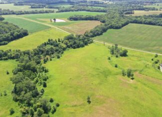 CRP Farm With Prime Hunting – Grundy/Mercer County Line
