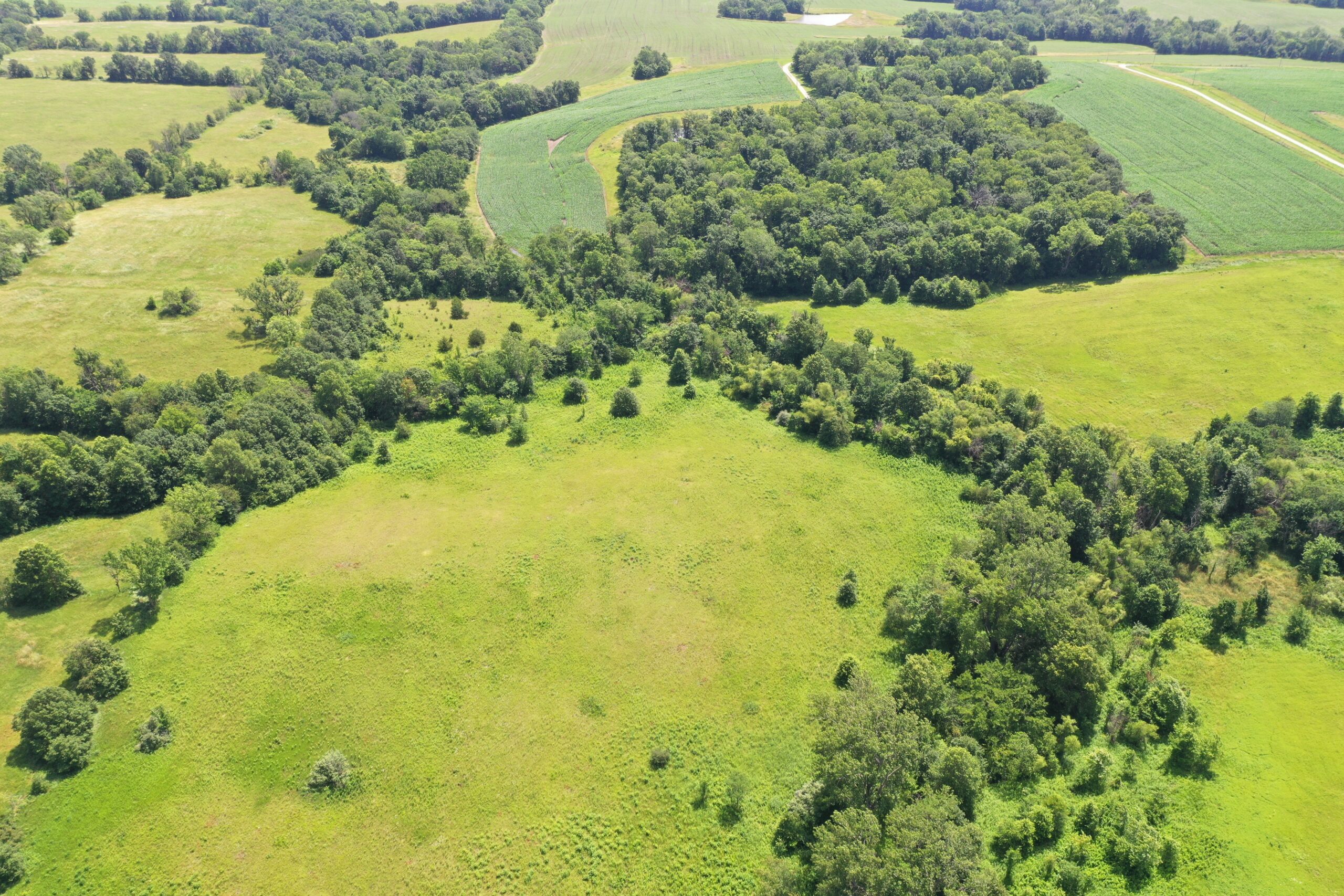 CRP Farm With Prime Hunting – Grundy/Mercer County Line