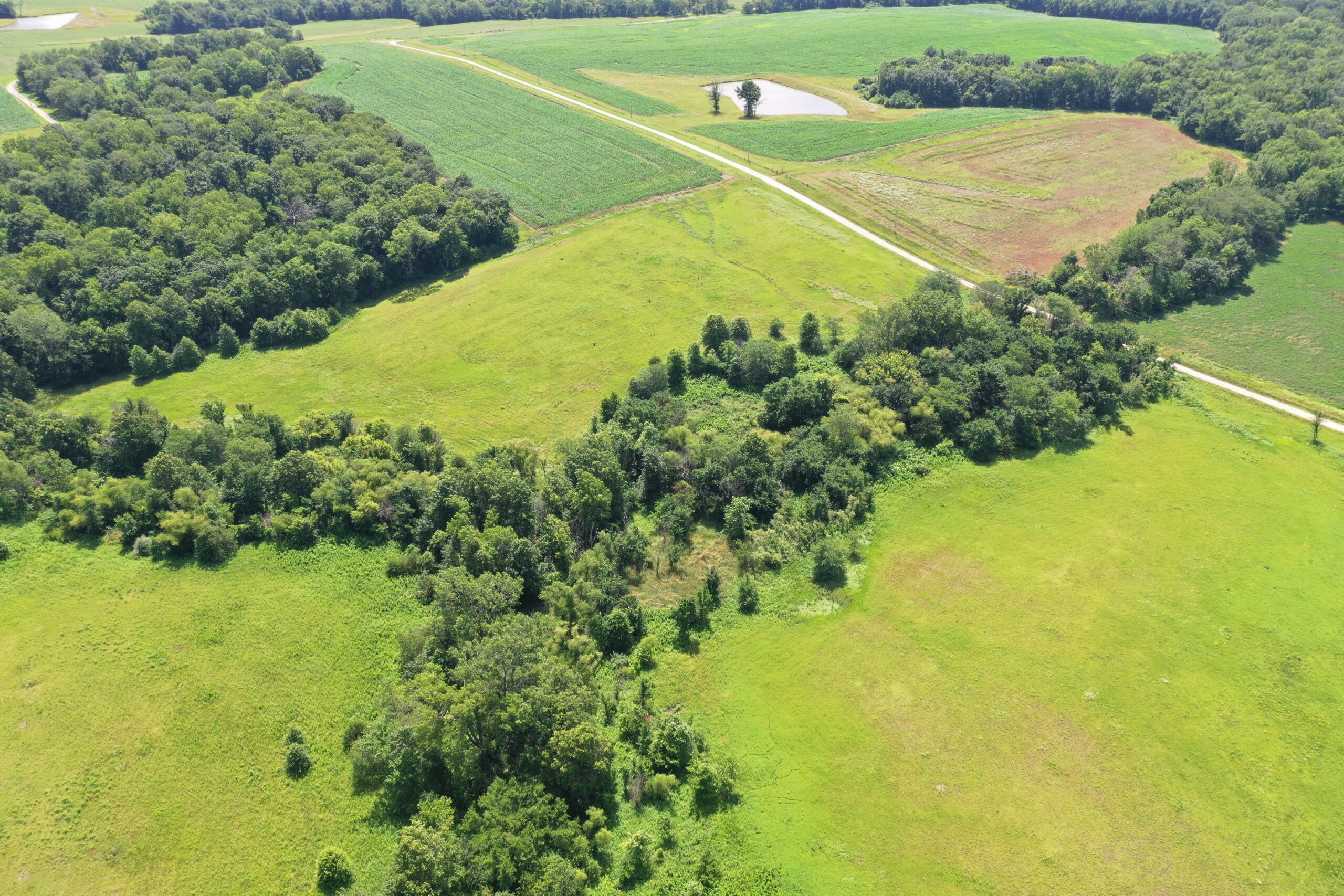 CRP Farm With Prime Hunting – Grundy/Mercer County Line