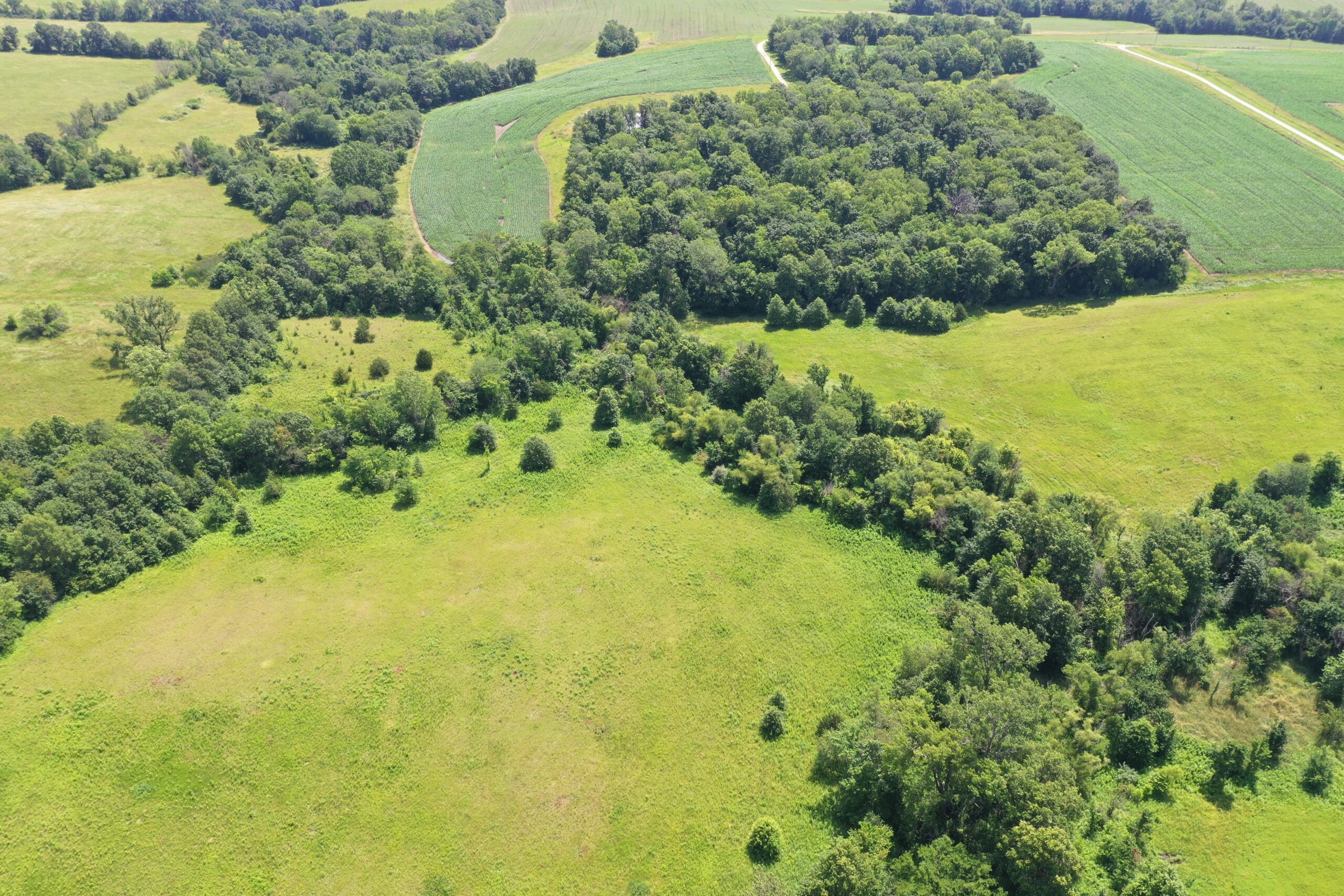 CRP Farm With Prime Hunting – Grundy/Mercer County Line