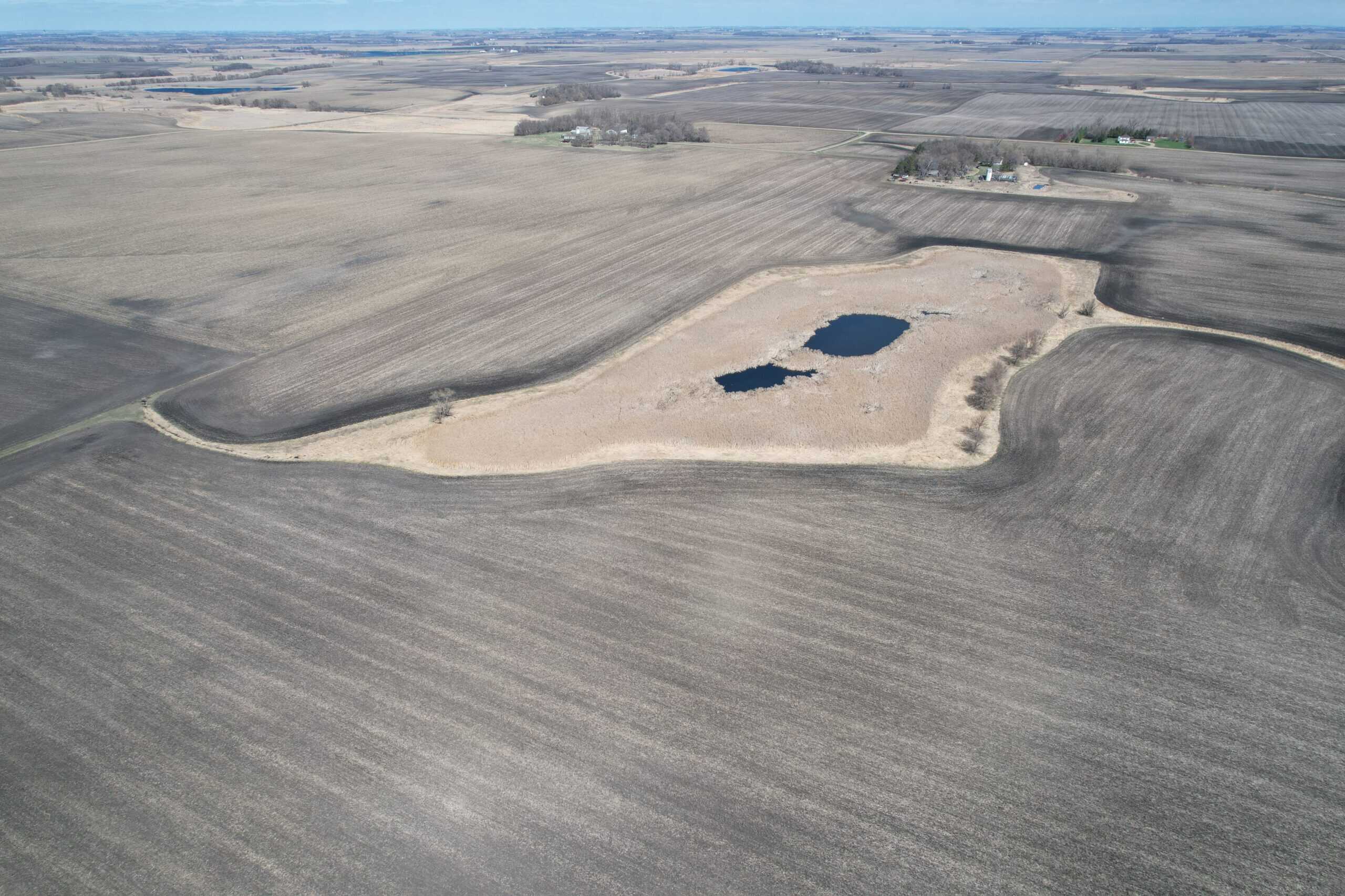 163.8 Deeded Acres With Highly Productive Farm Land (CPI: 91.1) | Farm, Home & Hunting Land