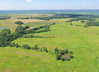CRP & Hunting Farm For Sale – Grundy County, MO
