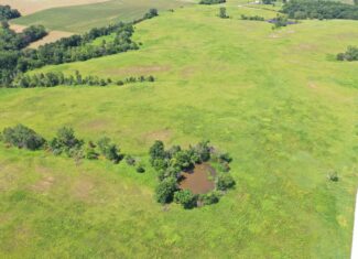 CRP & Hunting Farm For Sale – Grundy County, MO