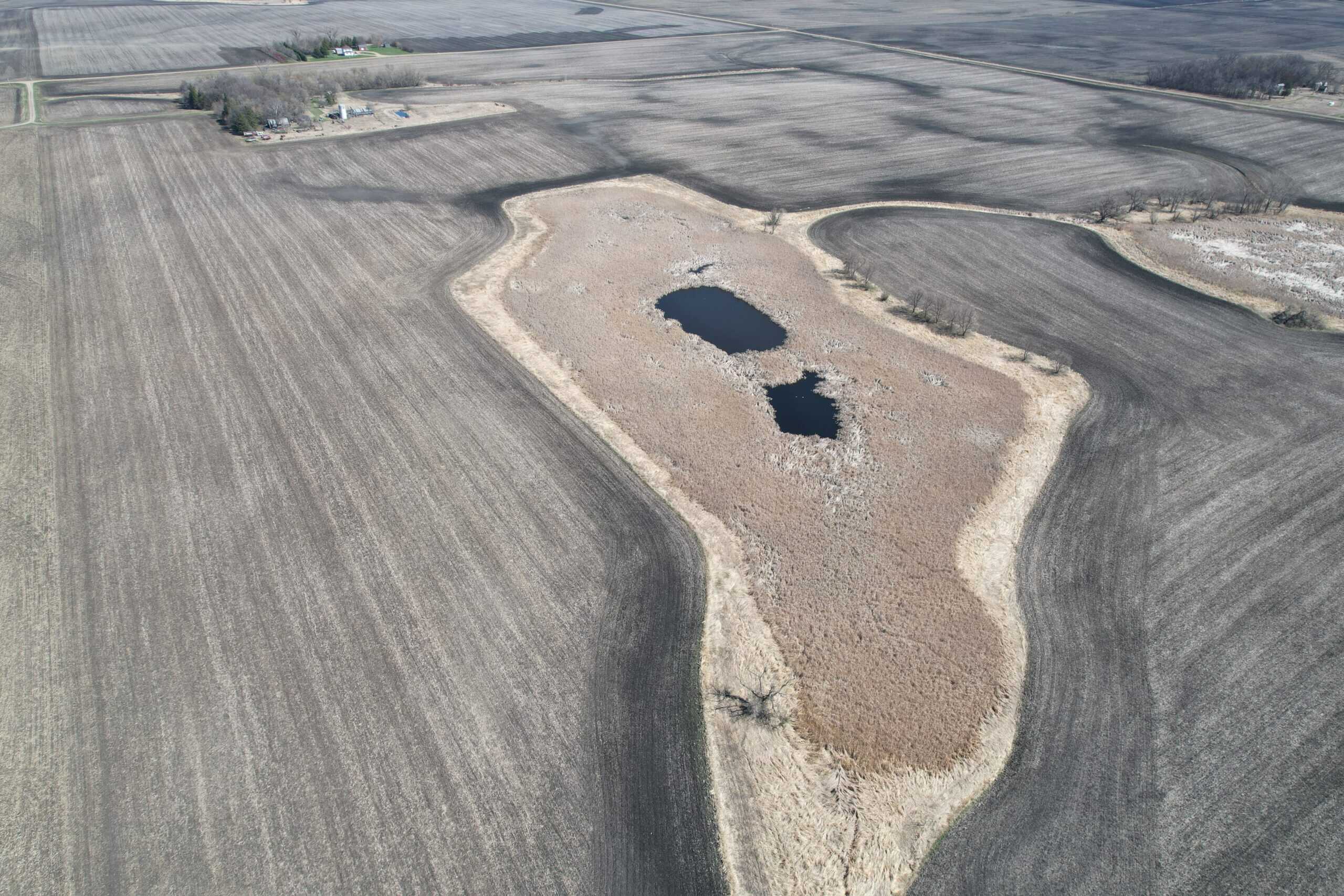 163.8 Deeded Acres With Highly Productive Farm Land (CPI: 91.1) | Farm, Home & Hunting Land