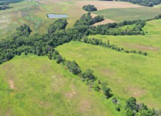 CRP & Hunting Farm For Sale – Grundy County, MO
