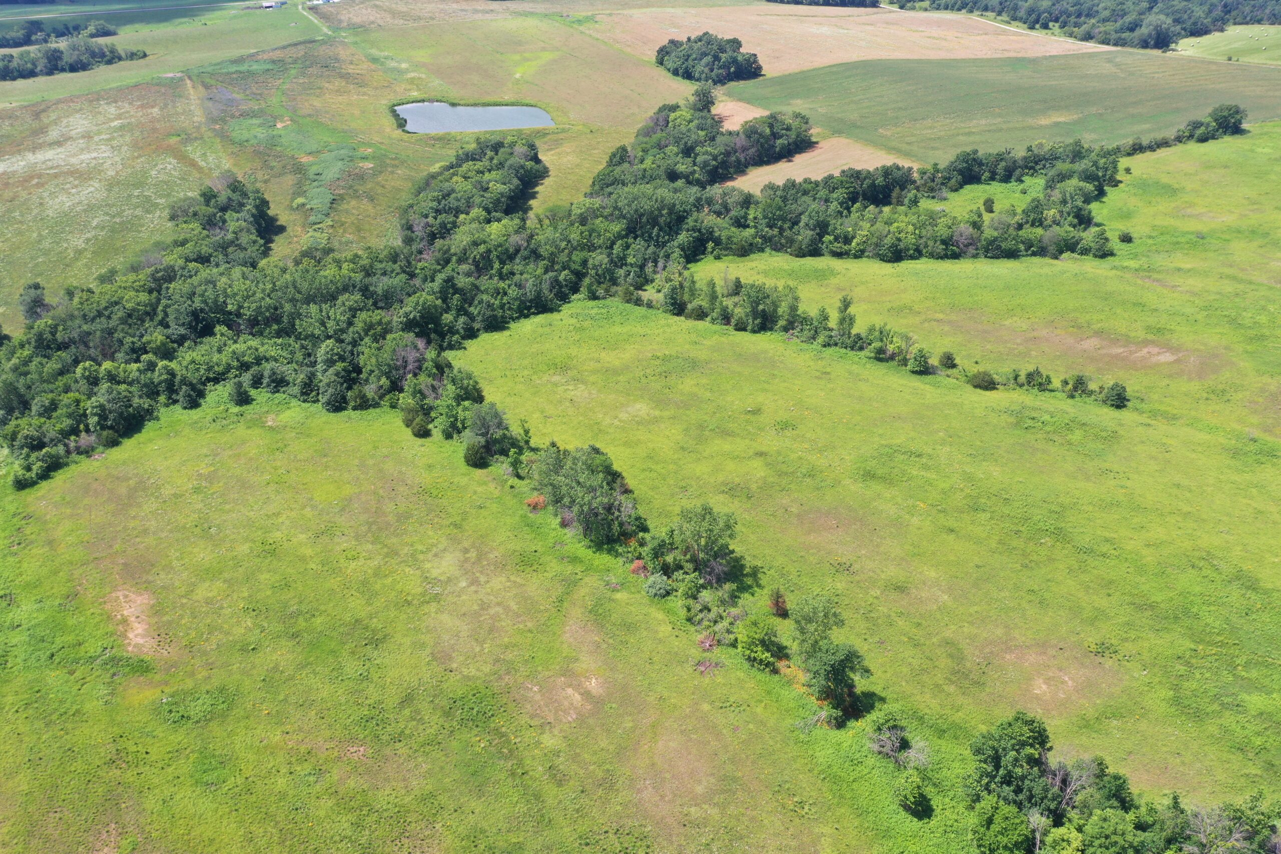 CRP & Hunting Farm For Sale – Grundy County, MO