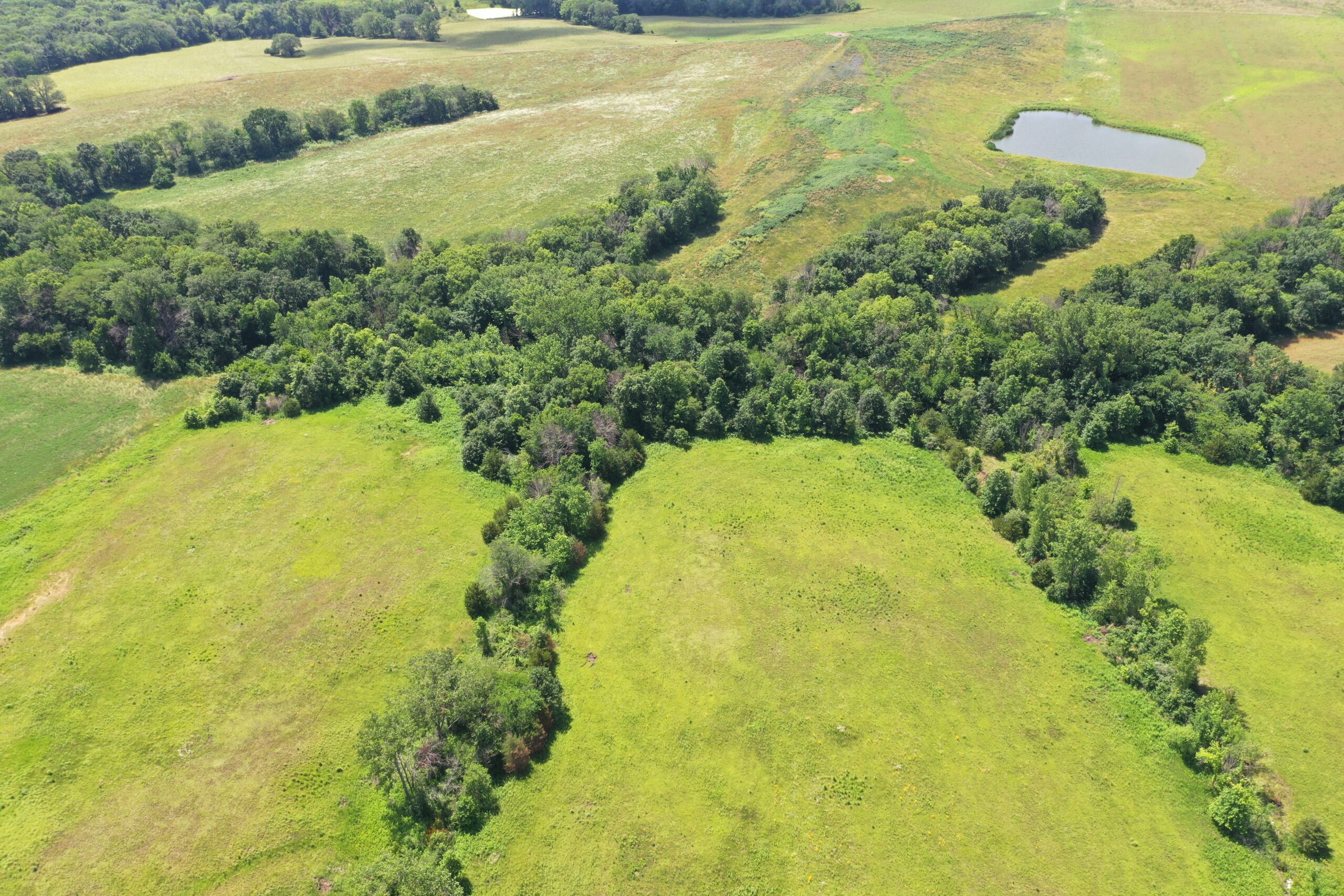 CRP & Hunting Farm For Sale – Grundy County, MO