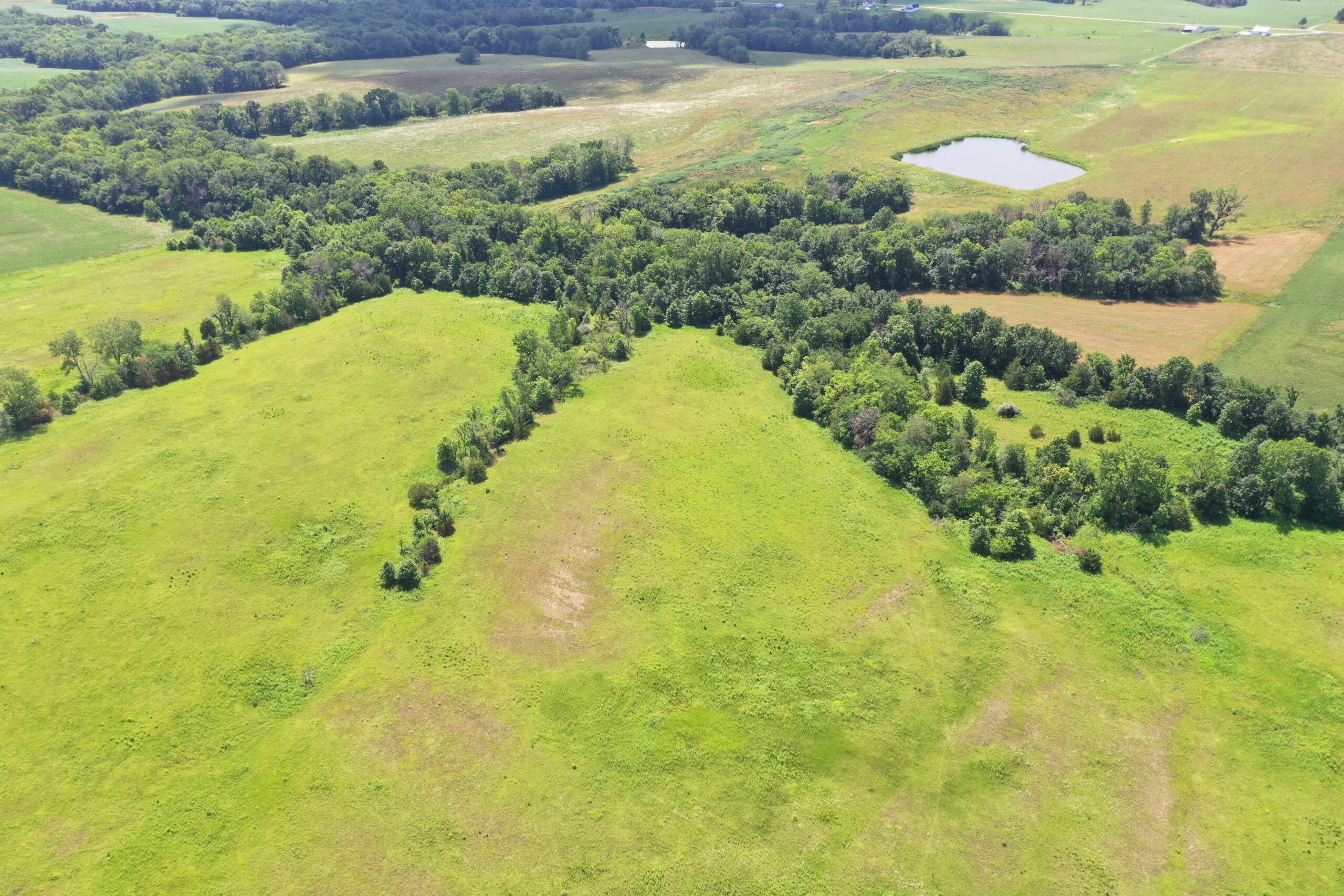 CRP & Hunting Farm For Sale – Grundy County, MO