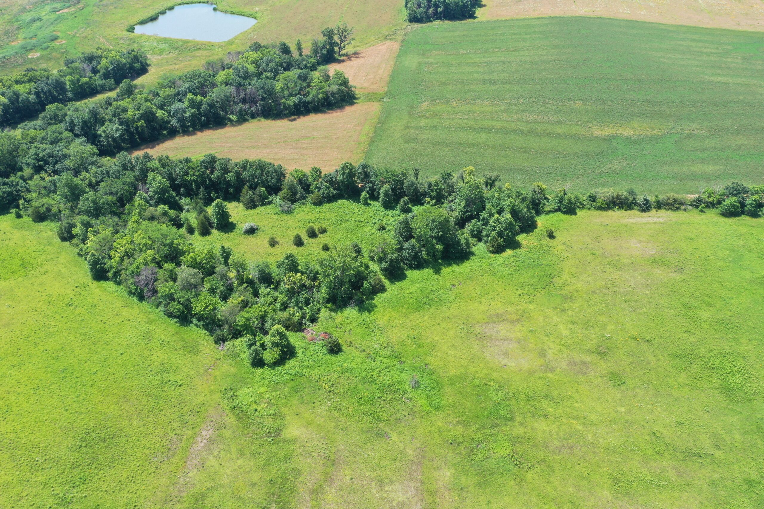 CRP & Hunting Farm For Sale – Grundy County, MO
