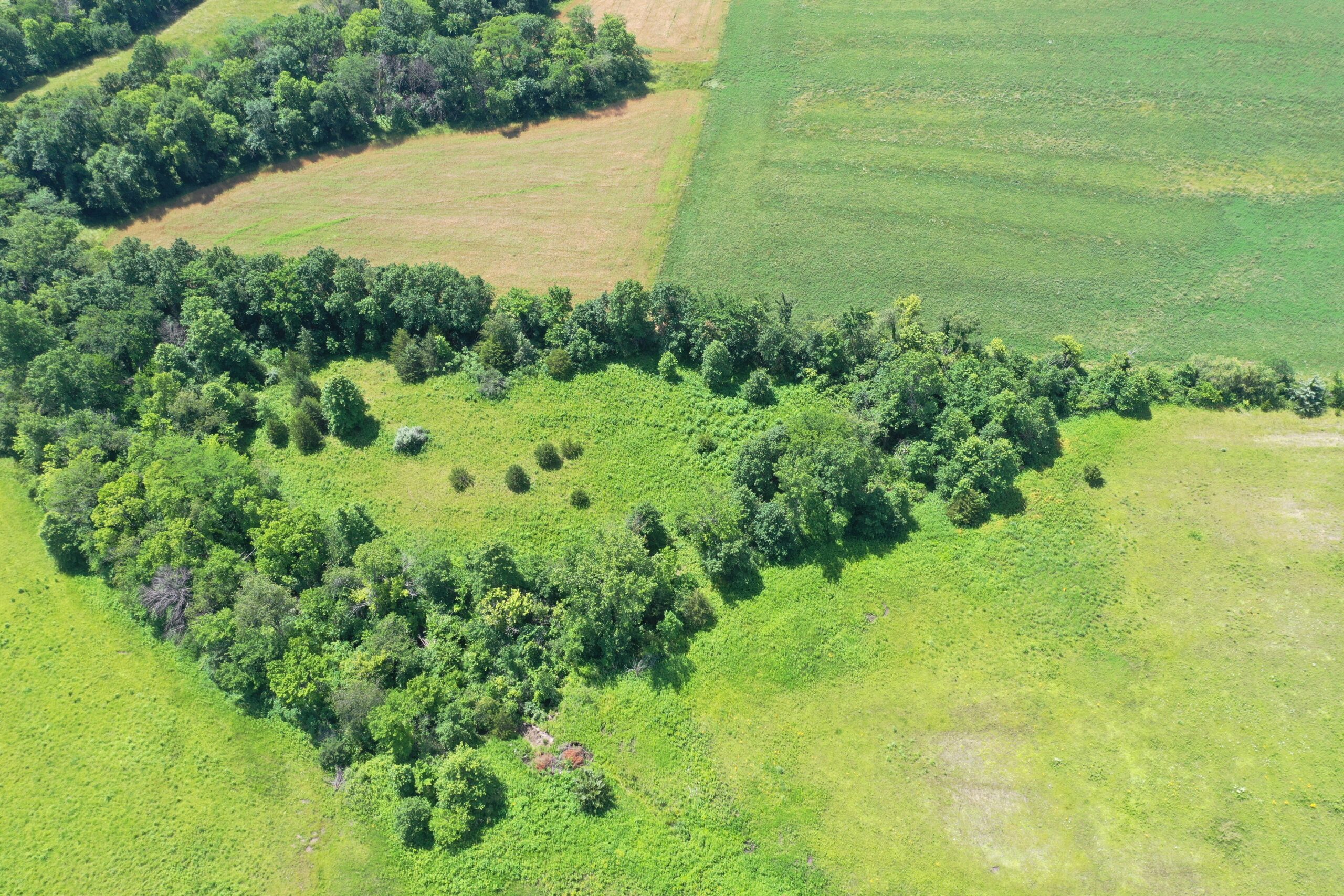 CRP & Hunting Farm For Sale – Grundy County, MO